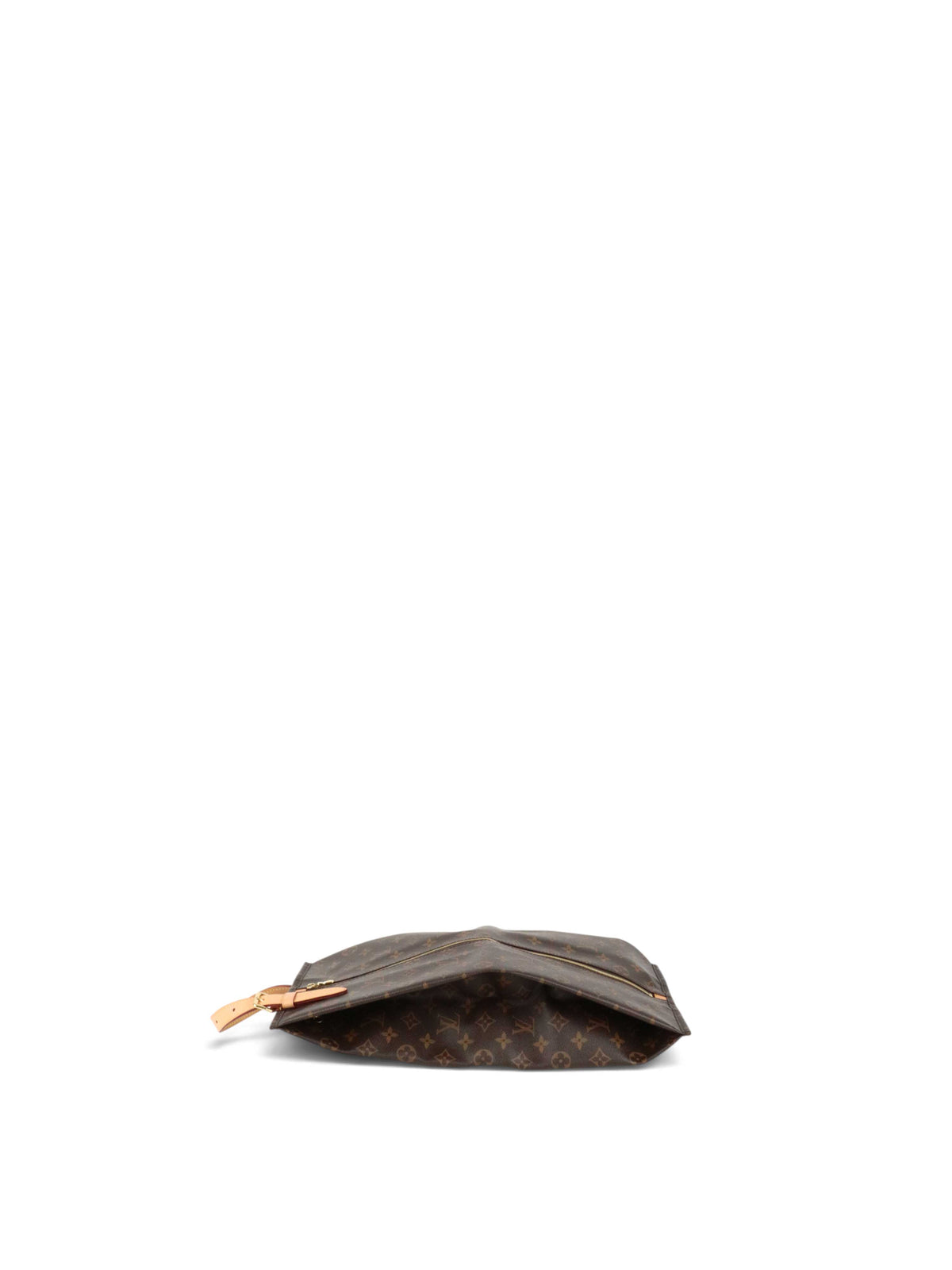 Louis Vuitton Monogram Shoe Bag