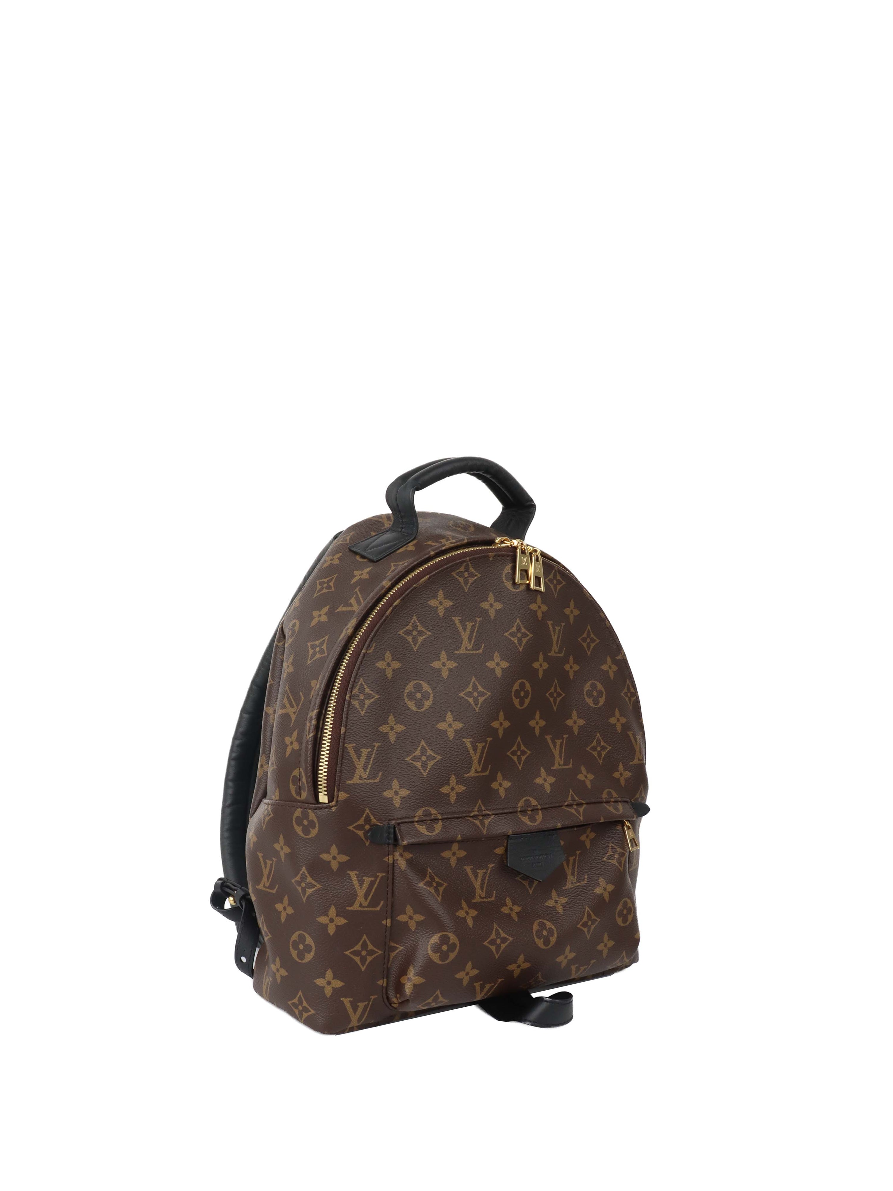 Louis Vuitton Palm Spring MM Backpack.