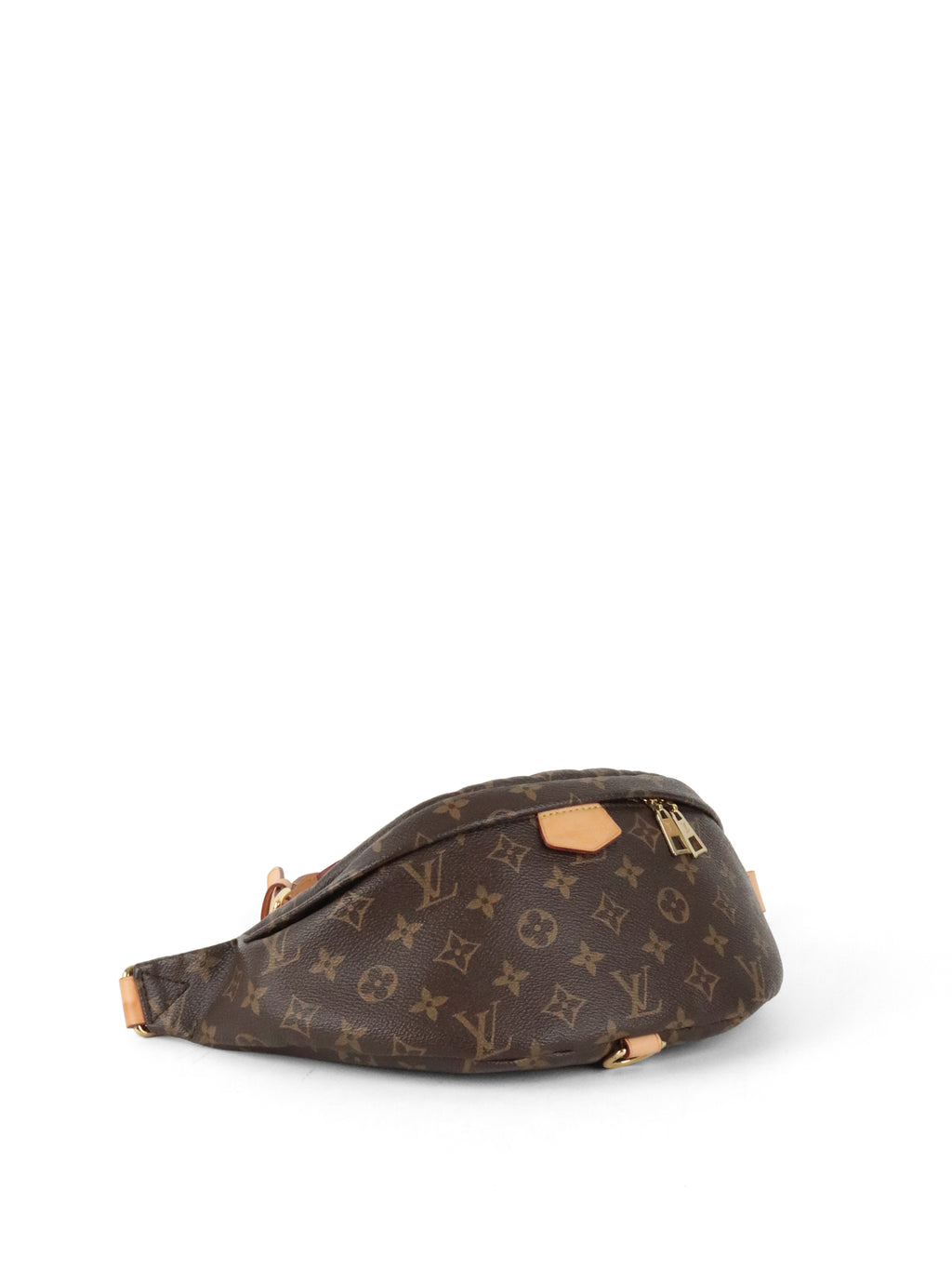 Louis Vuitton Monogram Bumbag