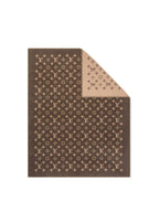 Louis Vuitton Dark Brown Neo Monogram Blanket