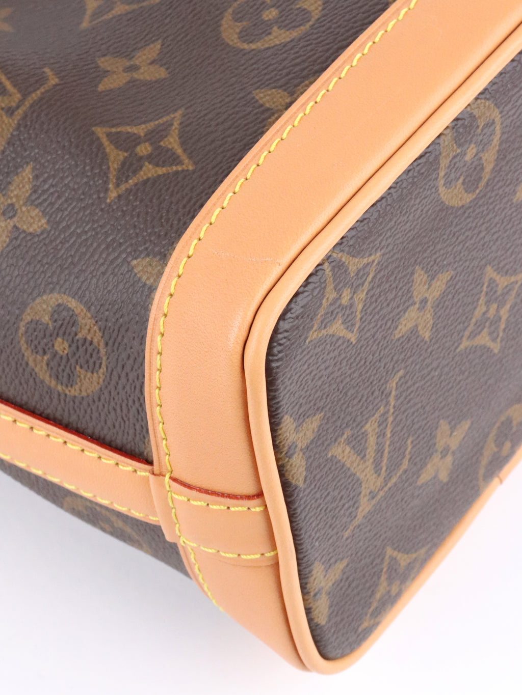Louis Vuitton Monogram Nano Noé Bag.