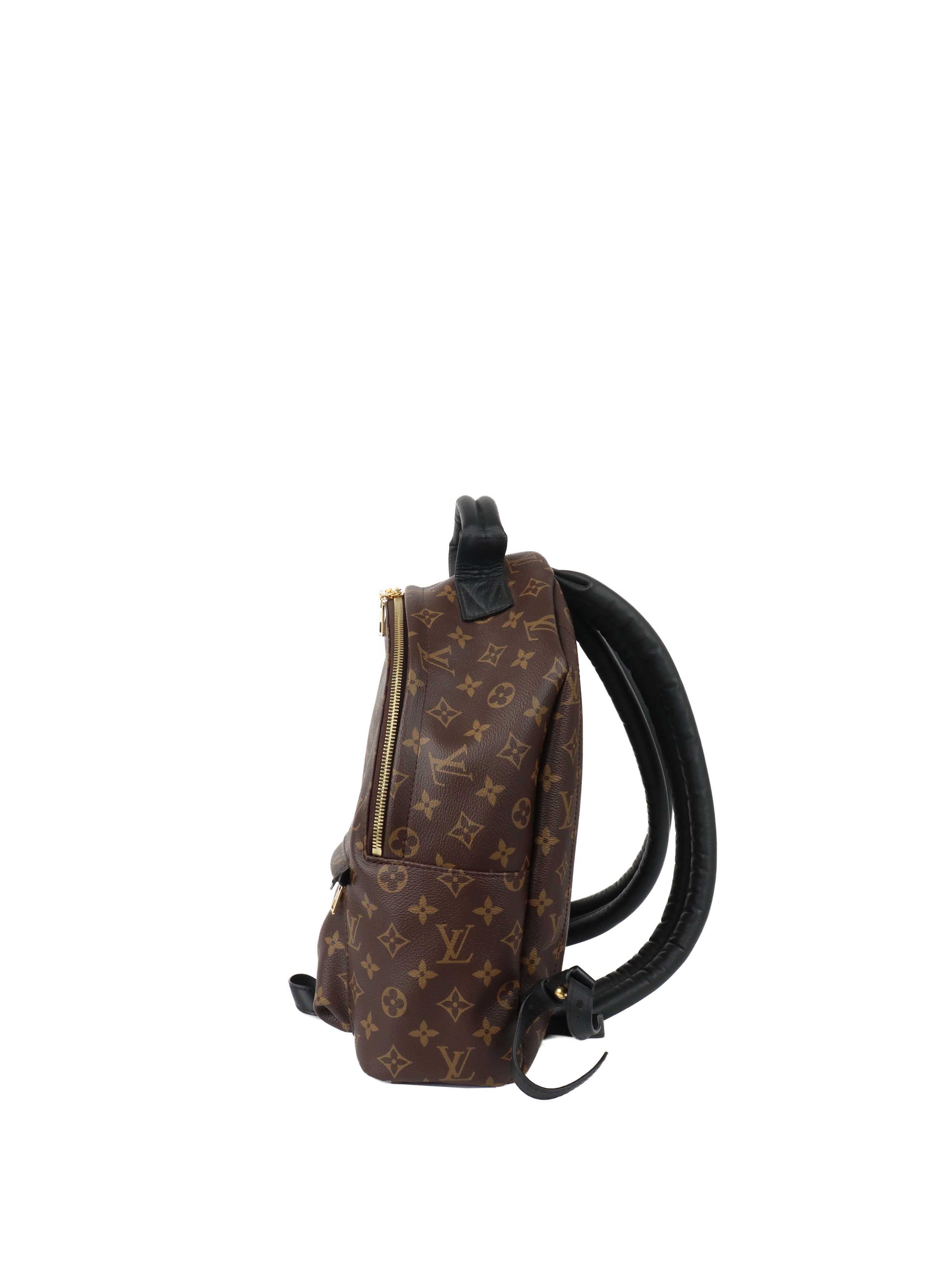 Louis Vuitton Palm Spring MM Backpack.