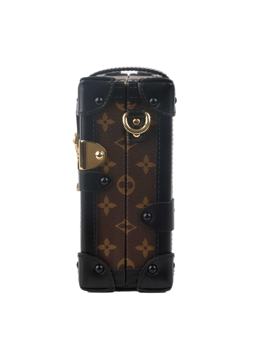 Louis Vuitton Monogram Tressage Petite Malle.