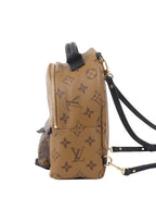 Louis Vuitton Reverse Palm Springs Mini Backpack.