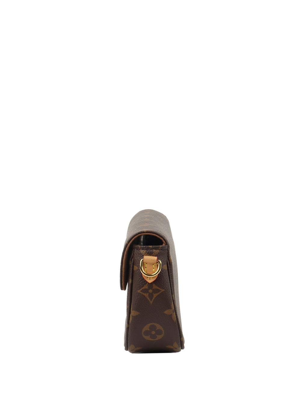 Louis Vuitton Monogram Wallet on Chain Ivy.