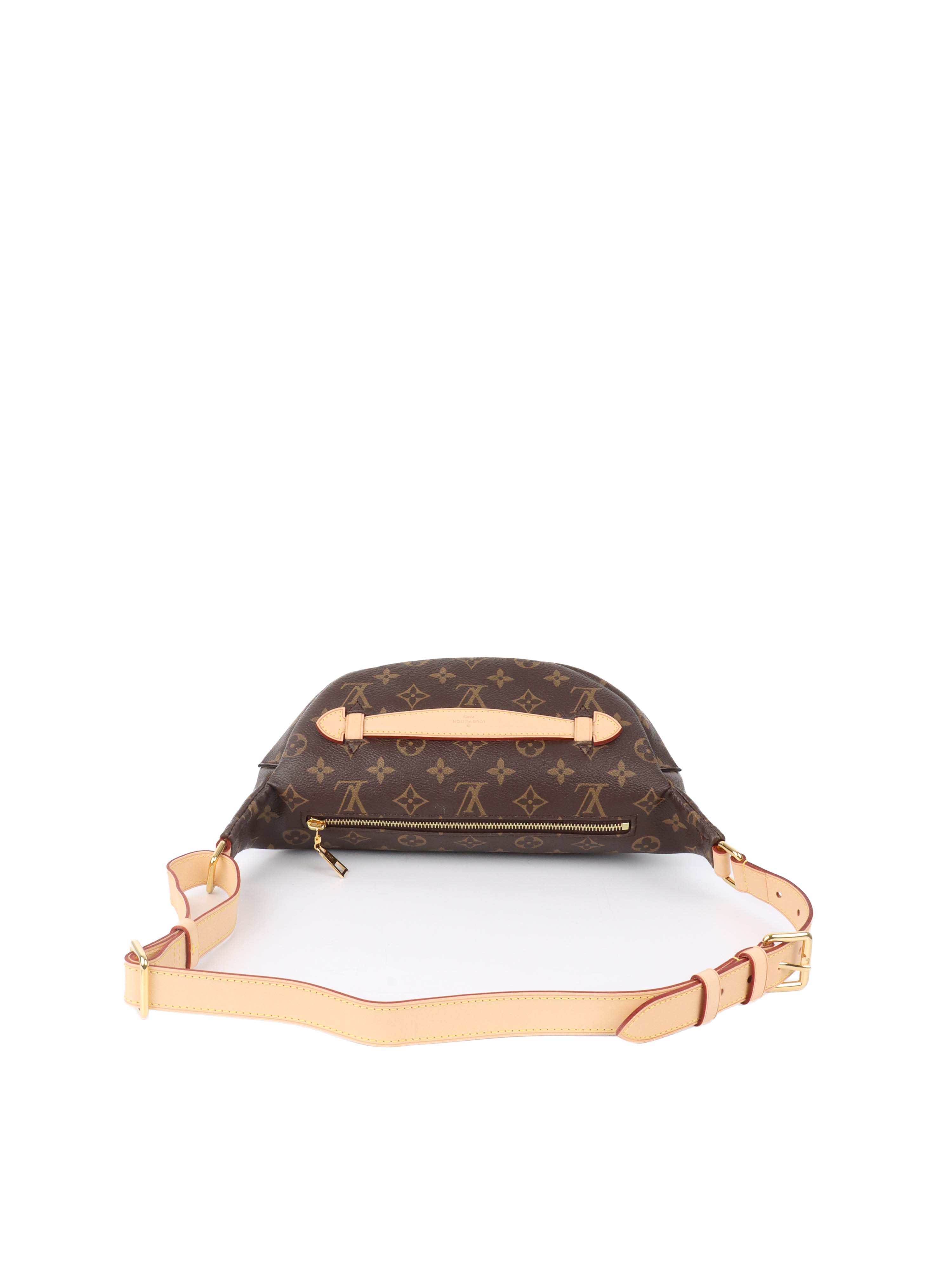 Louis Vuitton Monogram BumBag.
