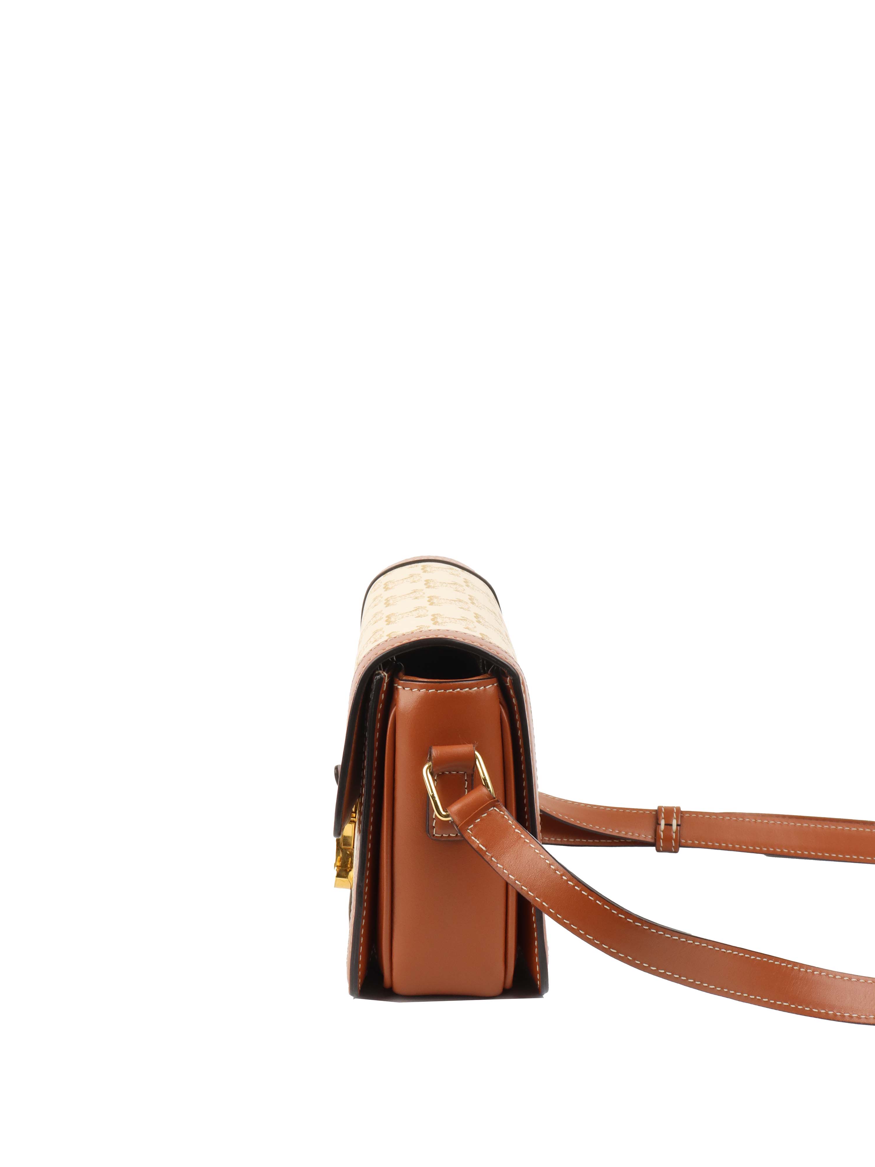 Celine Teen Triomphe Bag in Canvas.