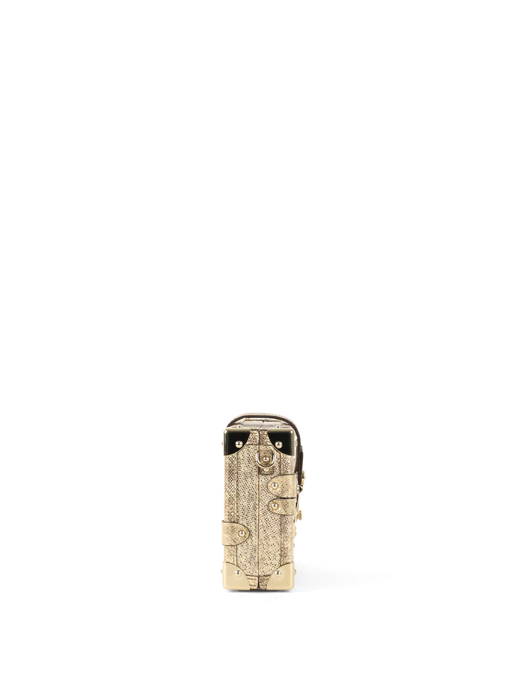 Louis Vuitton Metallic Gold Lizard Petite Malle