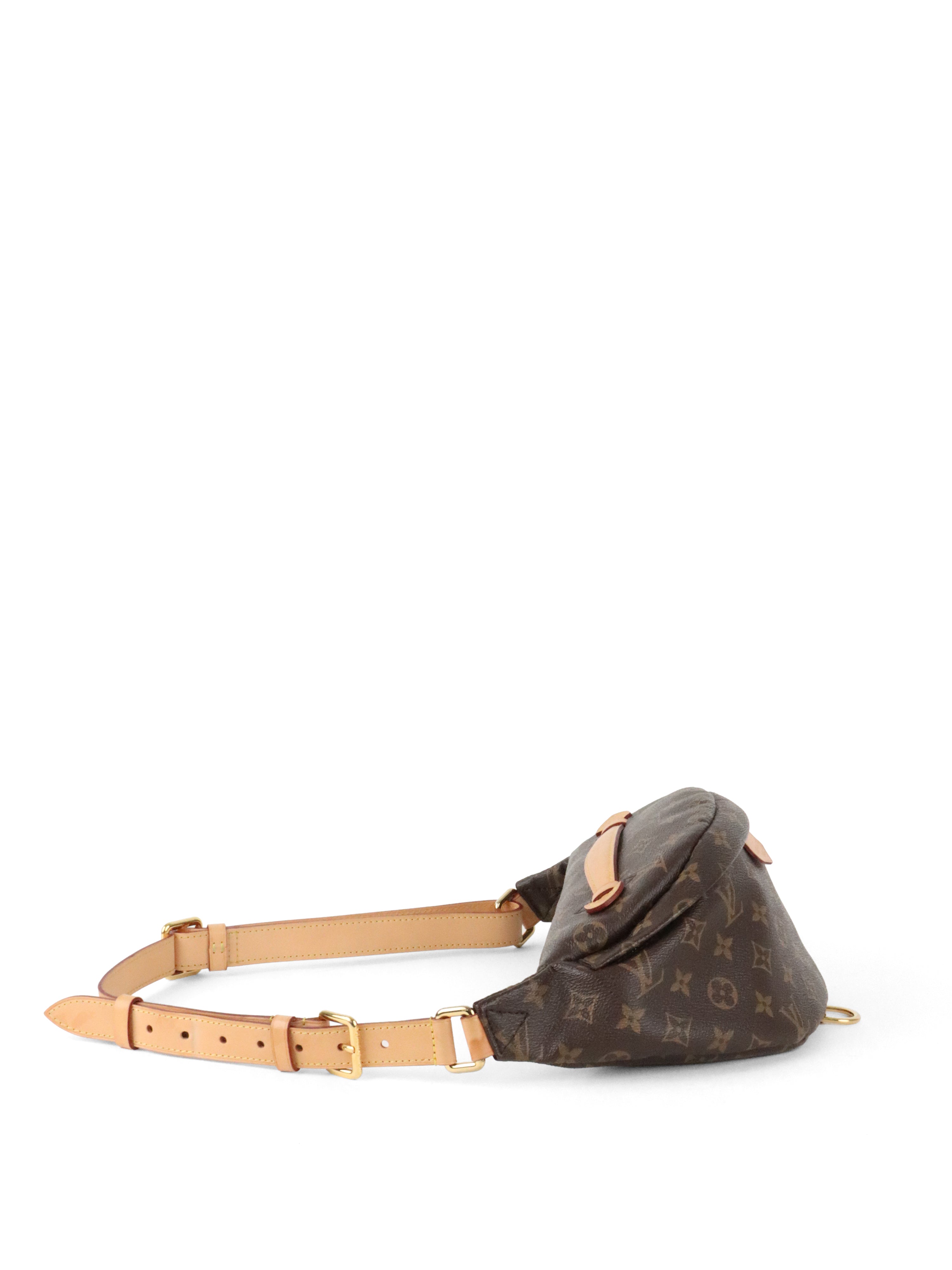 Louis Vuitton Monogram Bumbag
