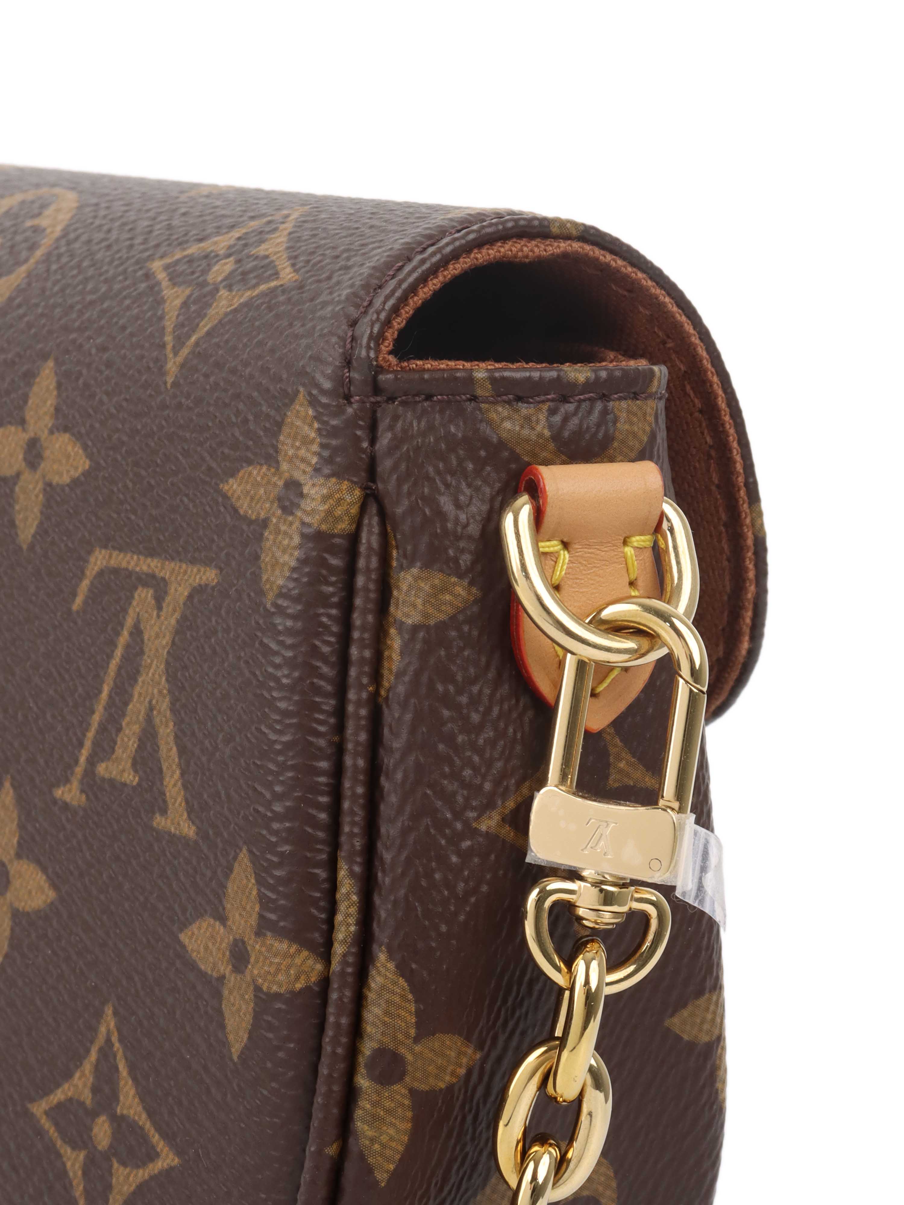 Louis Vuitton Ivy Wallet on Chain.