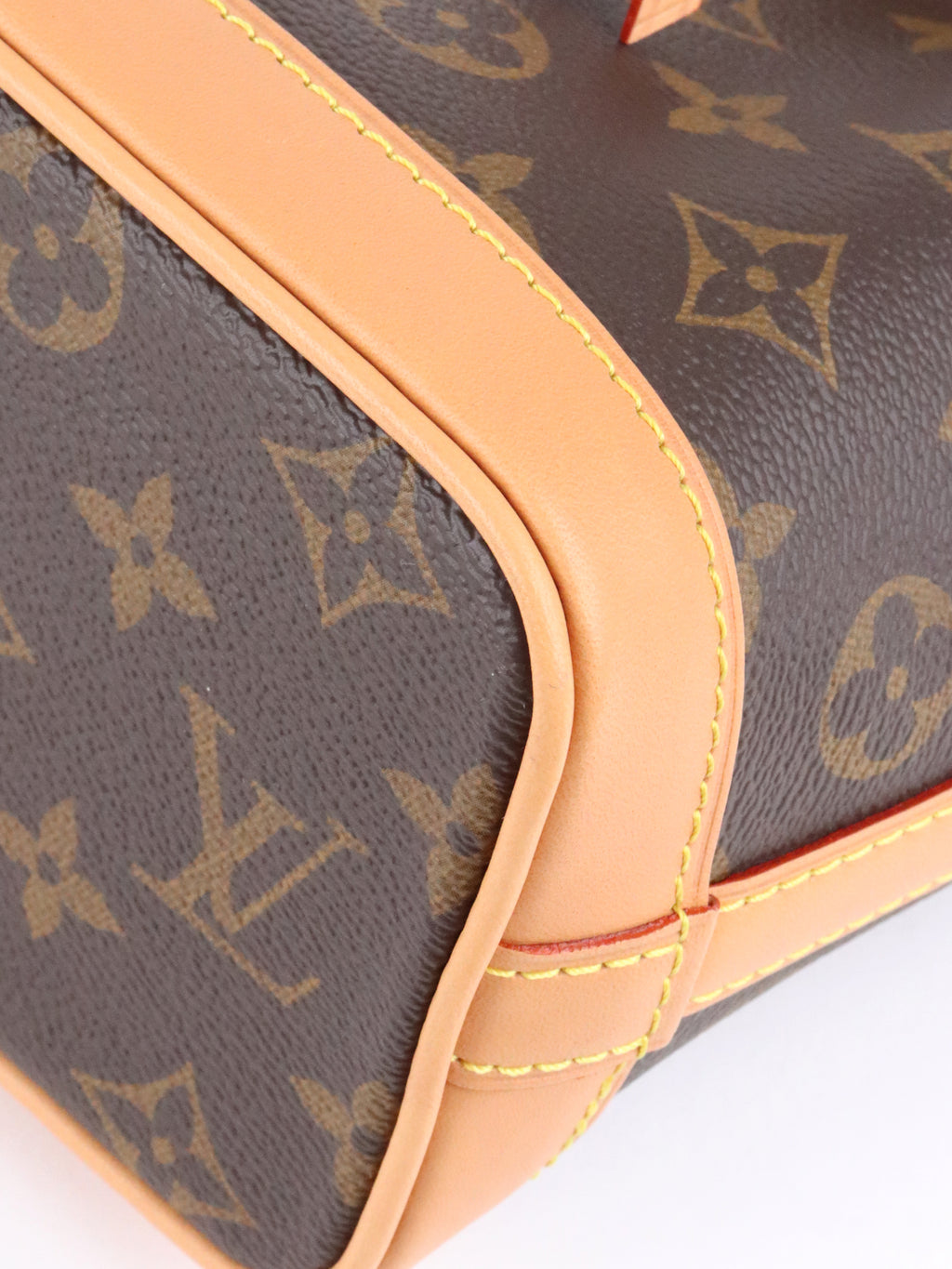 Louis Vuitton Monogram Nano Noé Bag.