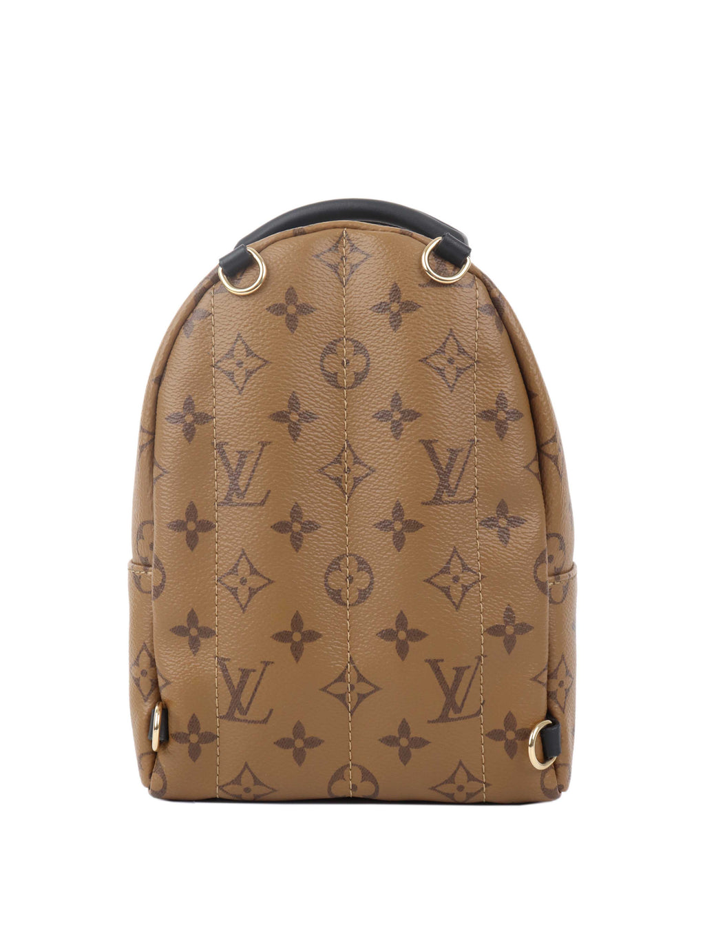 Louis Vuitton Reverse Palm Springs Mini Backpack.
