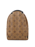 Louis Vuitton Reverse Palm Springs Mini Backpack.
