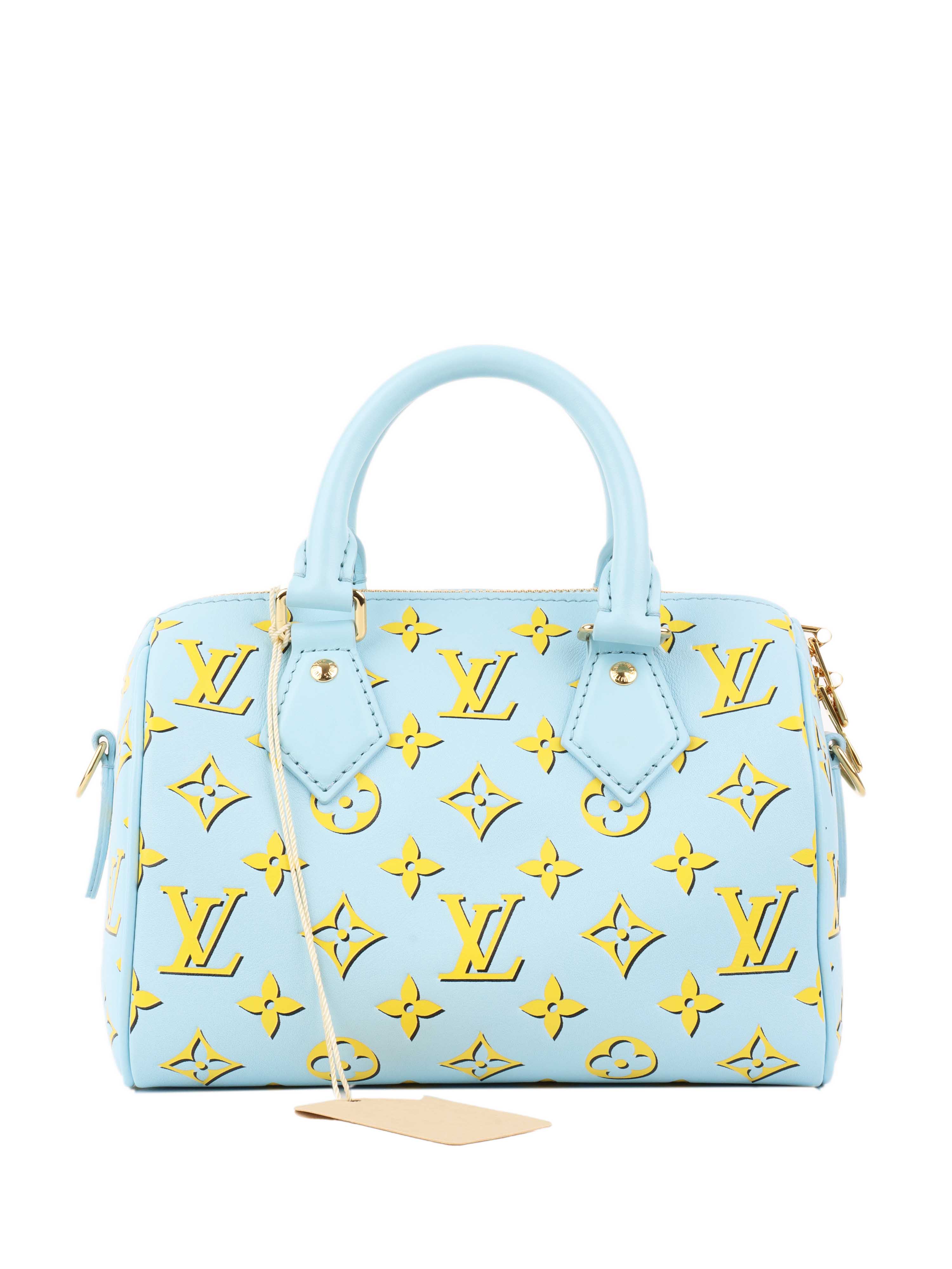 Louis Vuitton Baby Blue Speedy Bandouliere 20.