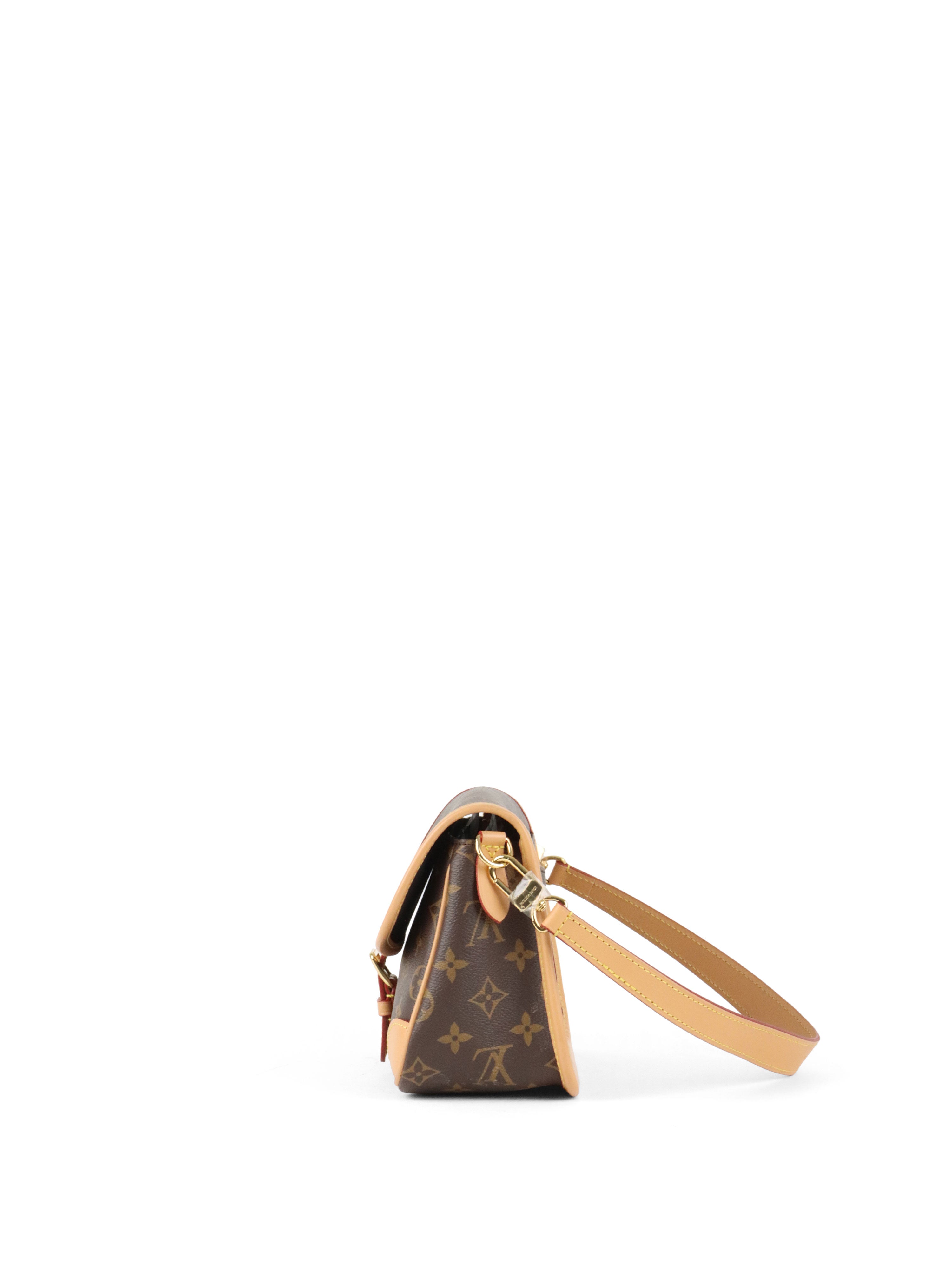 Louis Vuitton Monogram Diane Bag