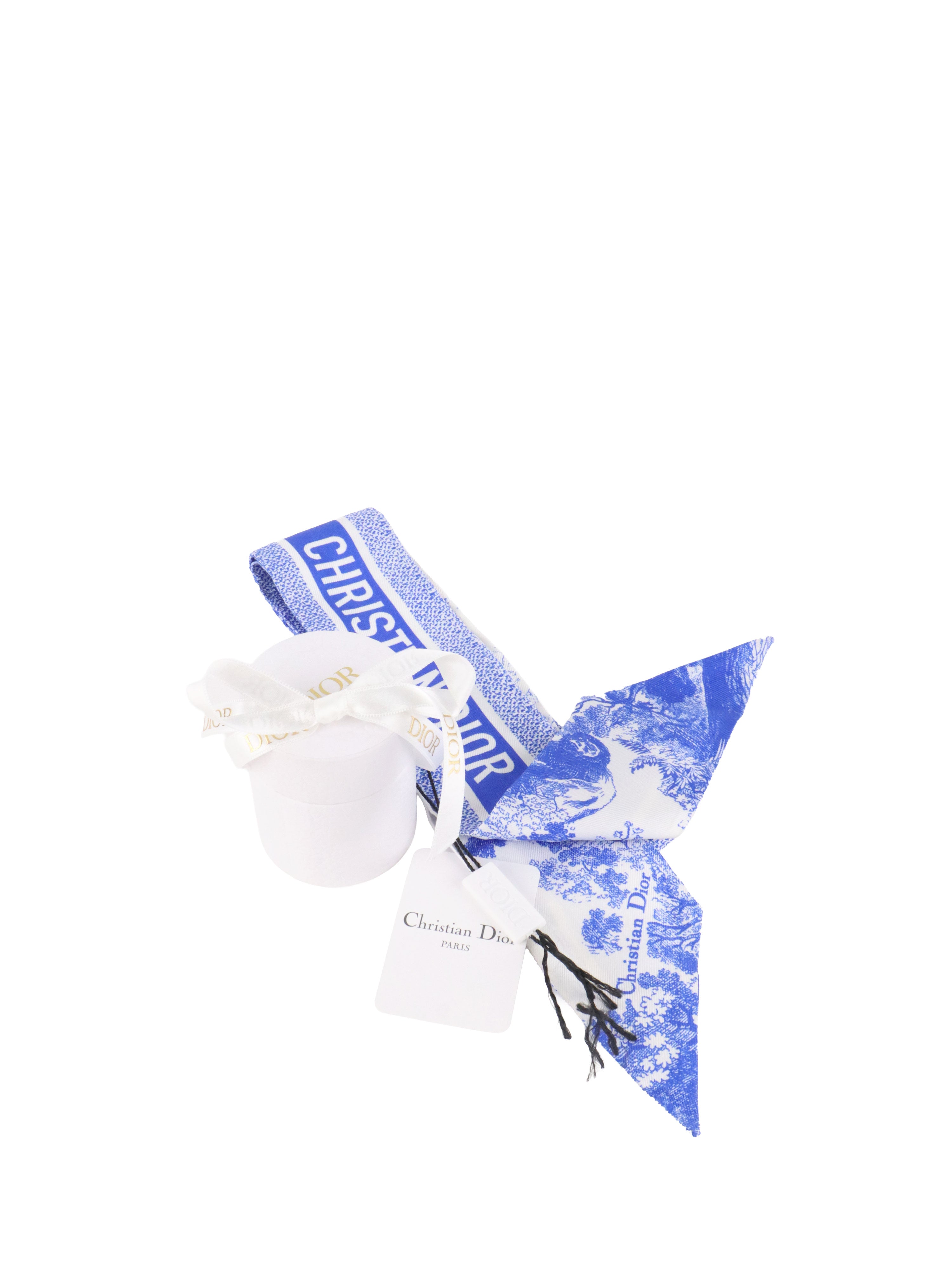 Dior Bright Blue Toile de Jouy Bande Twilly.