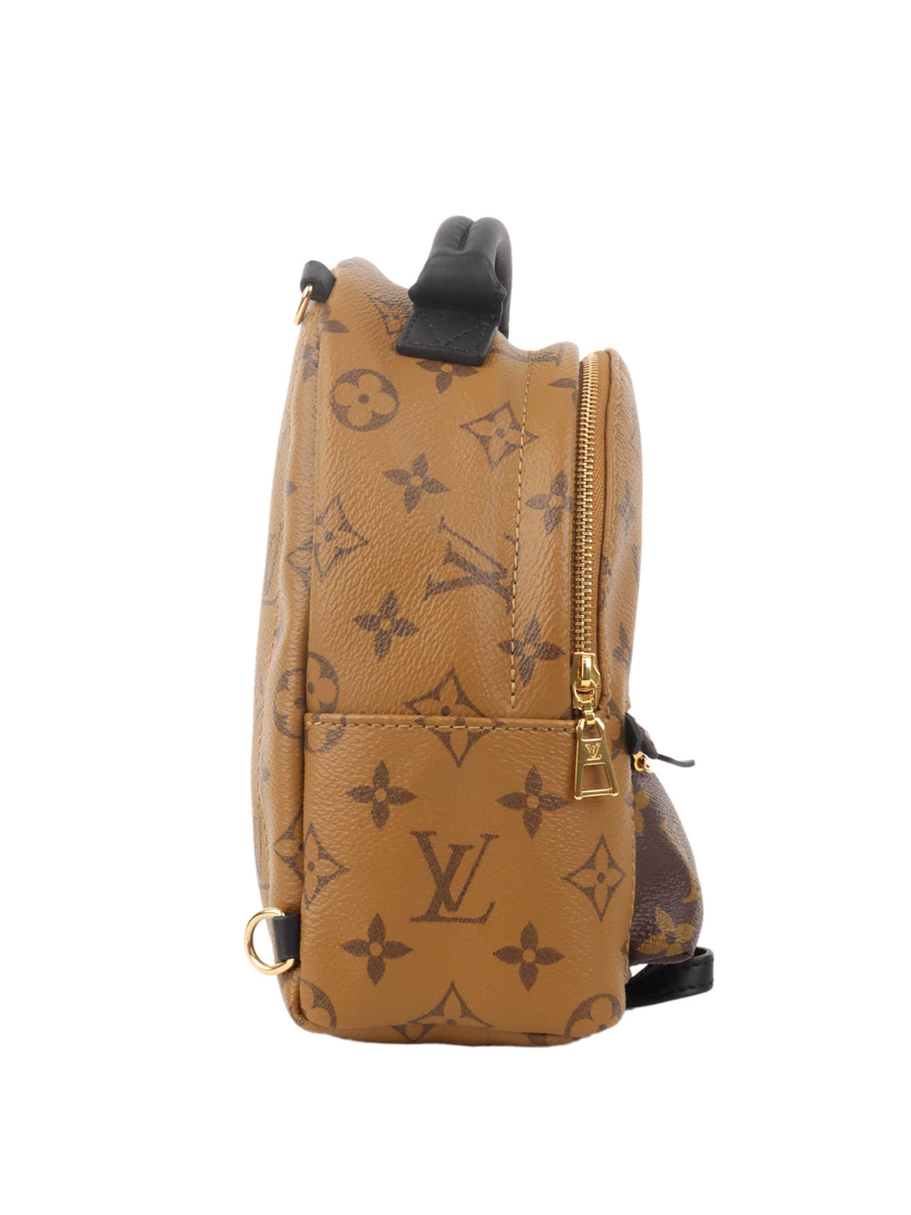 Louis Vuitton Reverse Palm Springs Mini Backpack.