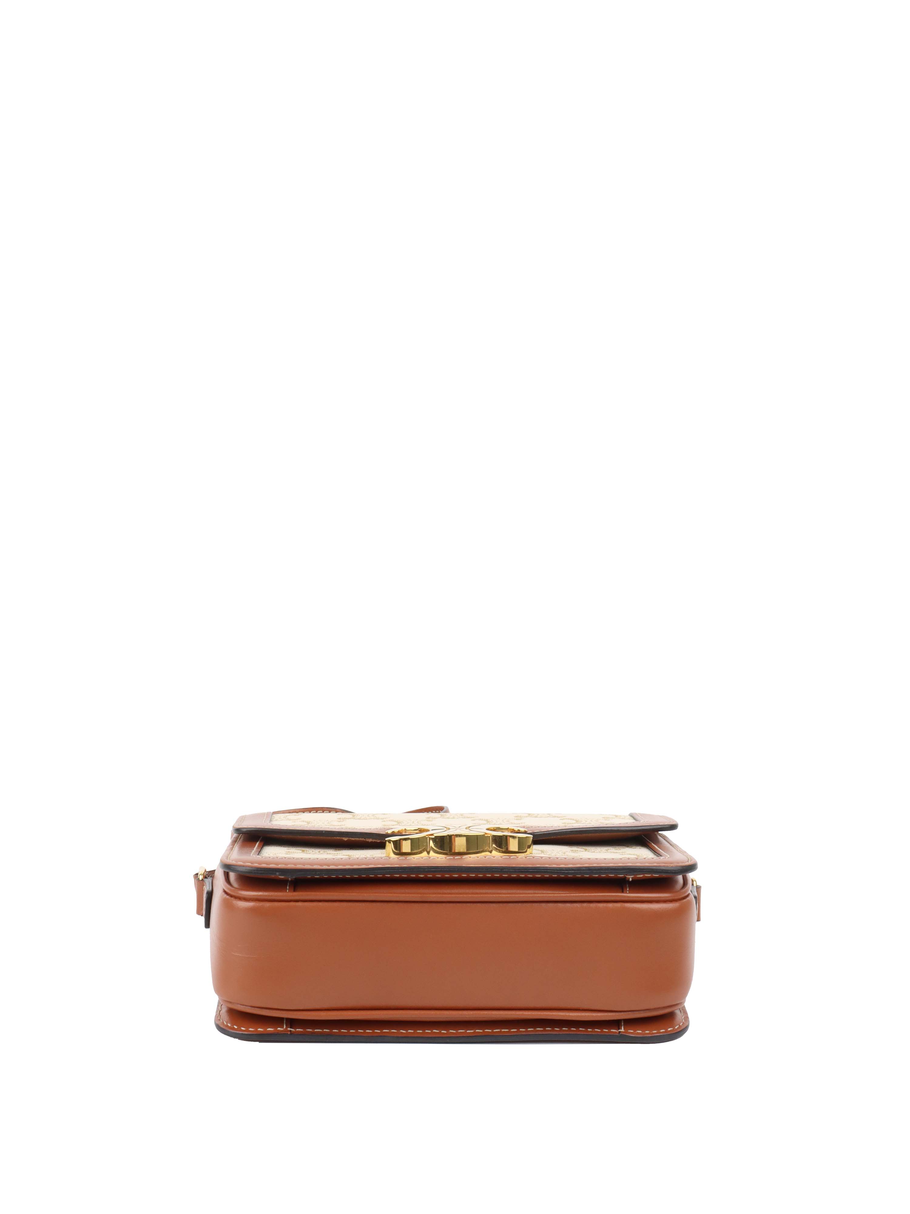 Celine Teen Triomphe Bag in Canvas.