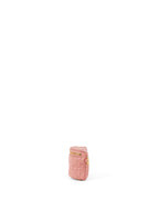 Dior Deep Nude Card Pouch