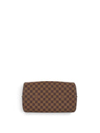 Louis Vuitton Damier Ebene Ribera MM Bag
