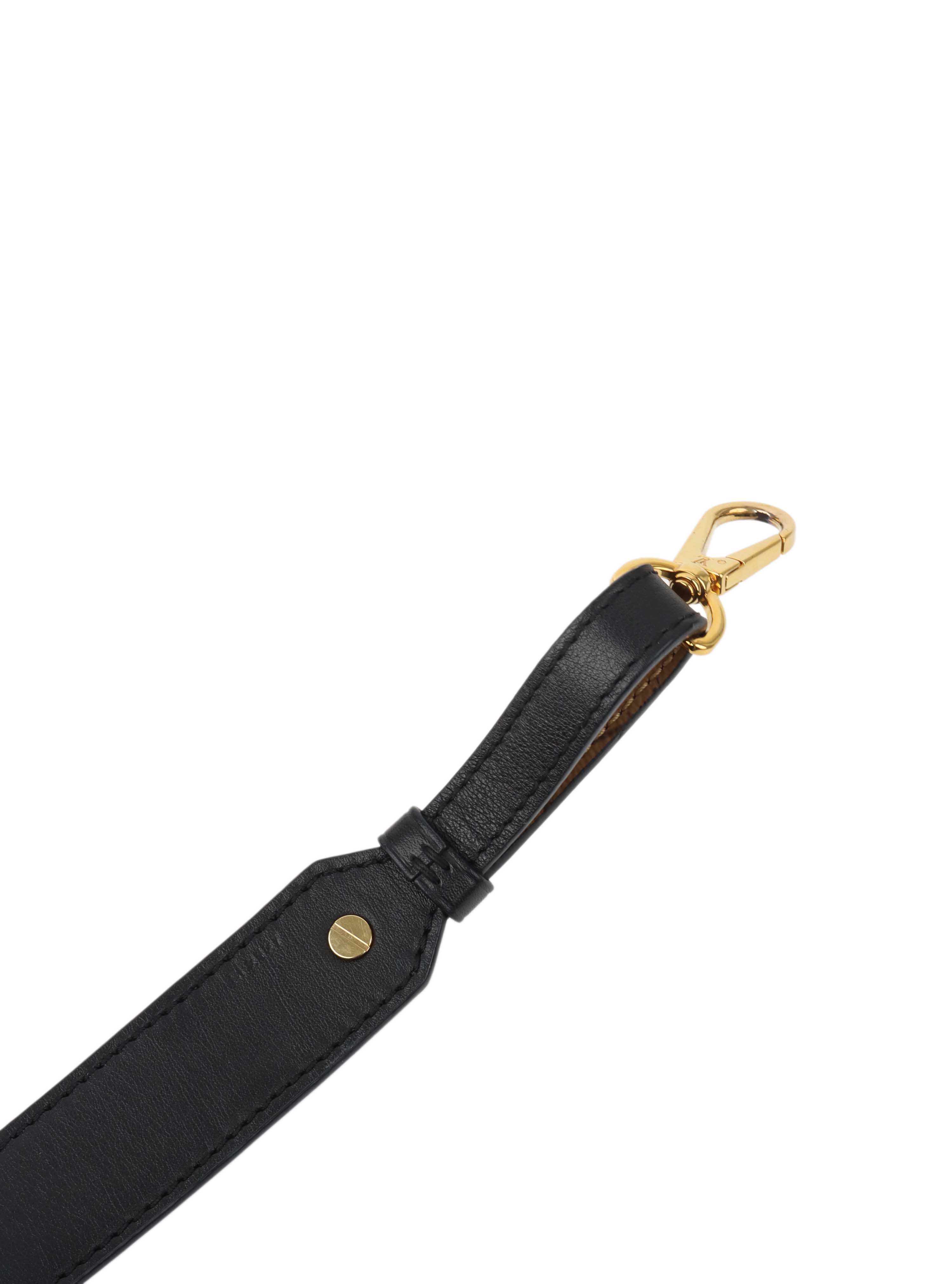 Louis Vuitton Bandouliere XL Strap Monogram Reverse.