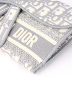 Dior Saddle Grey Belt Pouch.