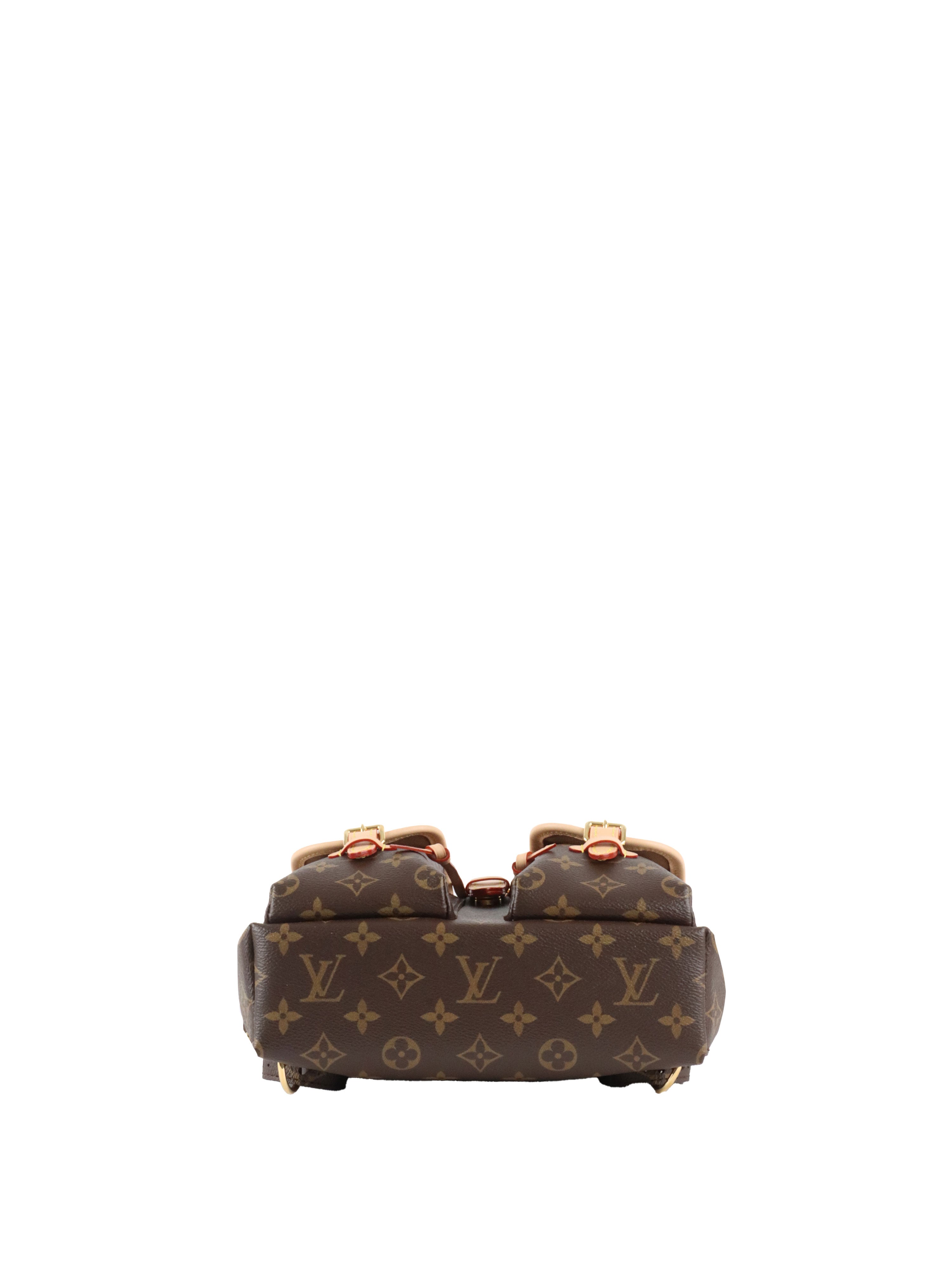 Louis Vuitton Monogram Backpack Excursion PM MNG
