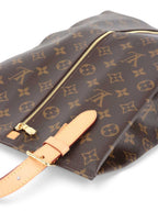 Louis Vuitton Monogram Shoe Bag