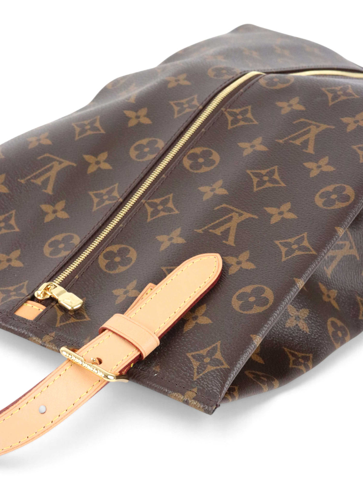 Louis Vuitton Monogram Shoe Bag