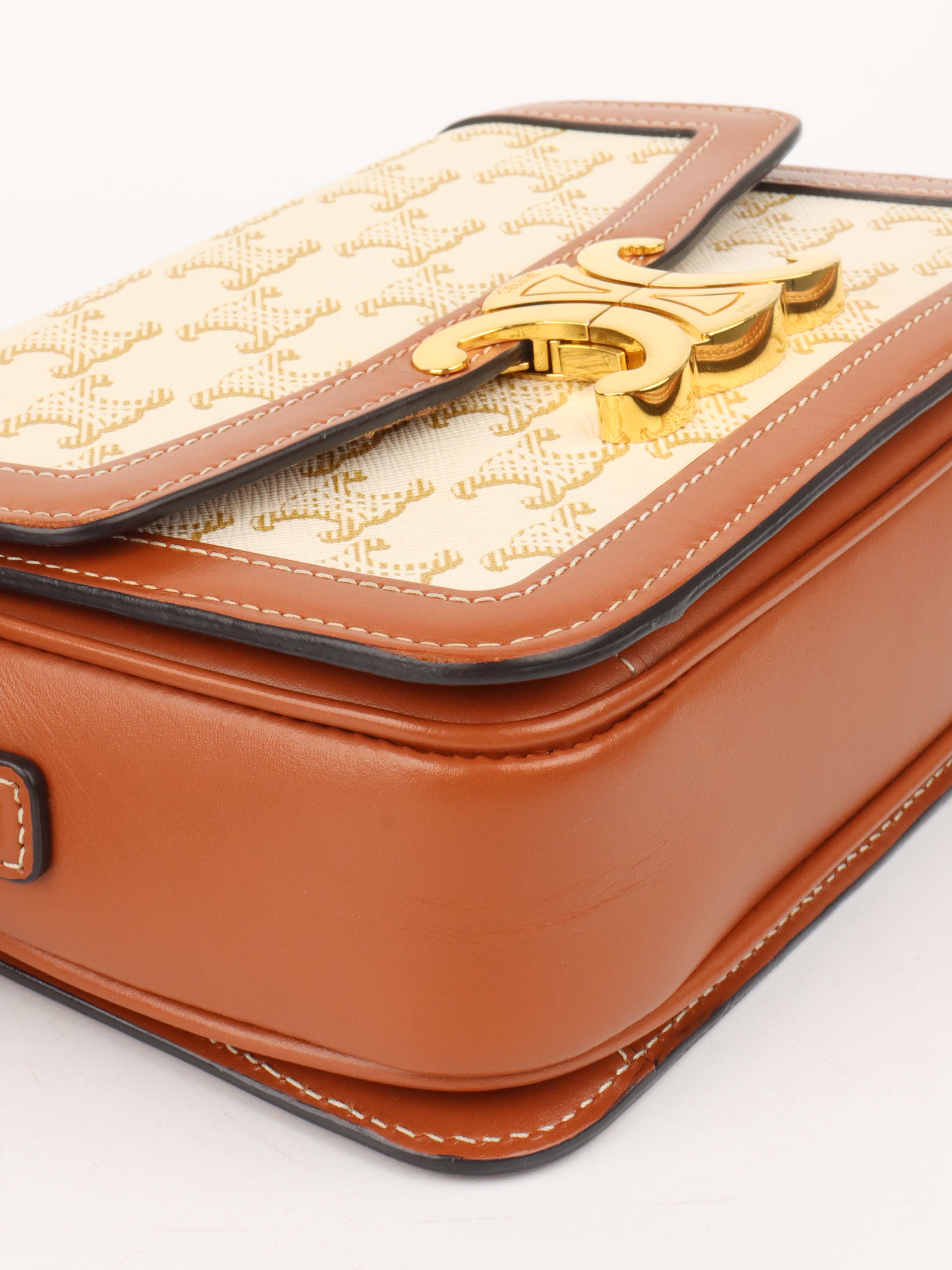 Celine Teen Triomphe Bag in Canvas.