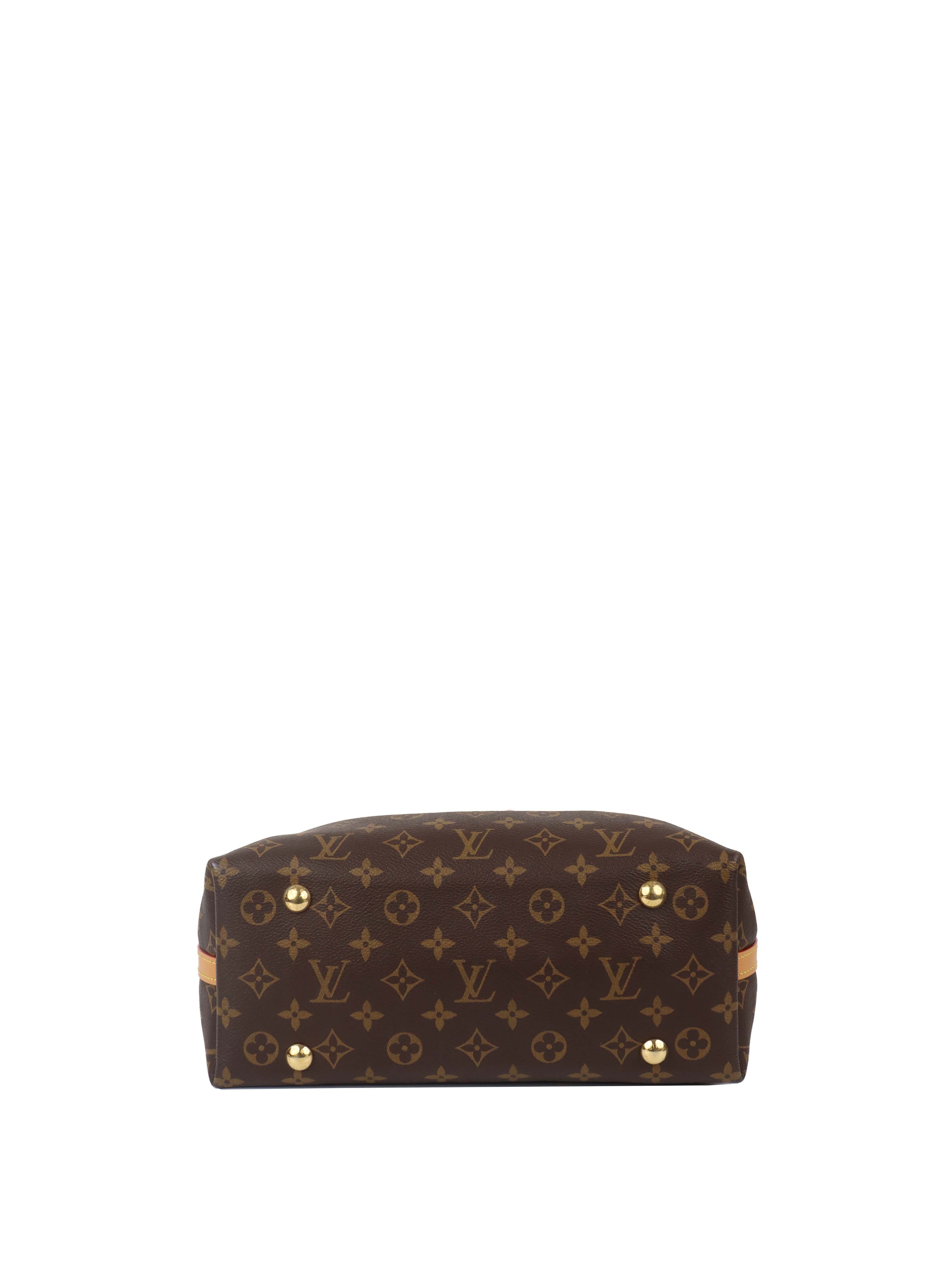 Louis Vuitton Monogram CarryAll PM Bag.