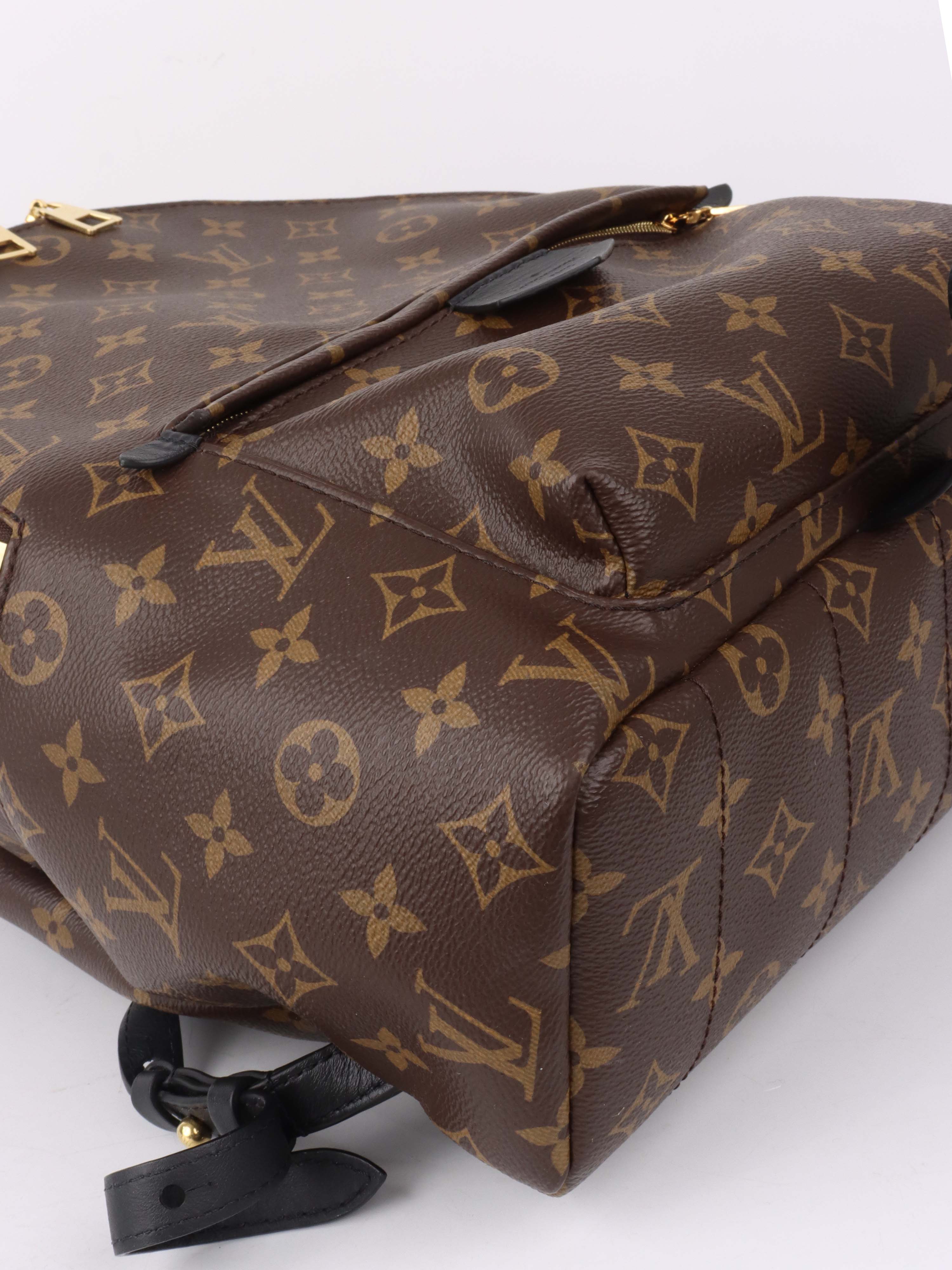 Louis Vuitton Palm Spring MM Backpack.