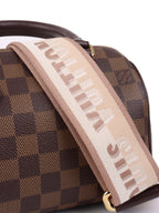 Louis Vuitton Damier Ebene Speedy 20 Bandouliere.