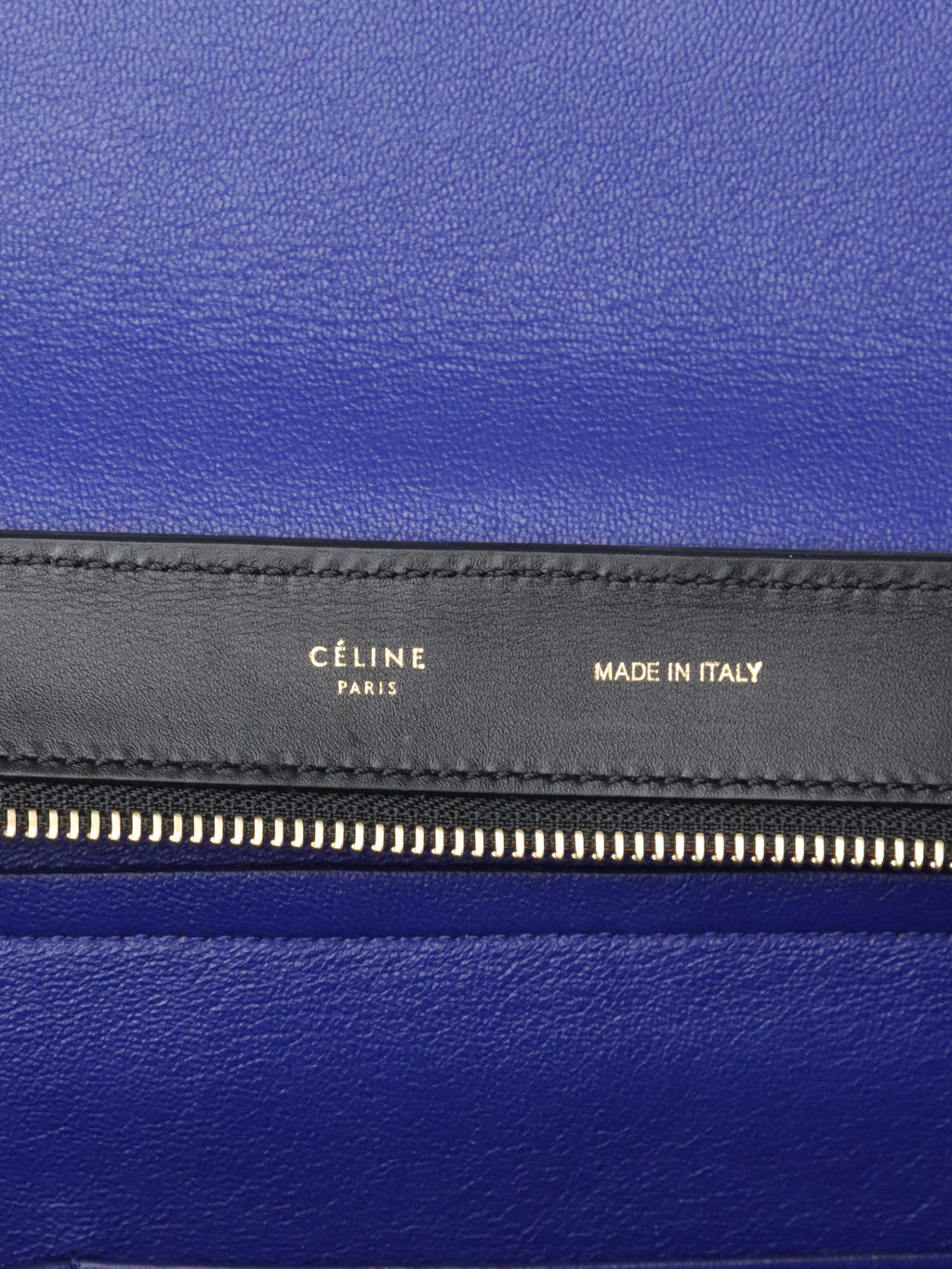 Celine Large Trapeze Bag Multicolour GHW
