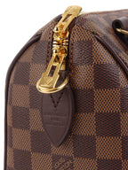 Louis Vuitton Damier Ebene Speedy 20 Bandouliere.