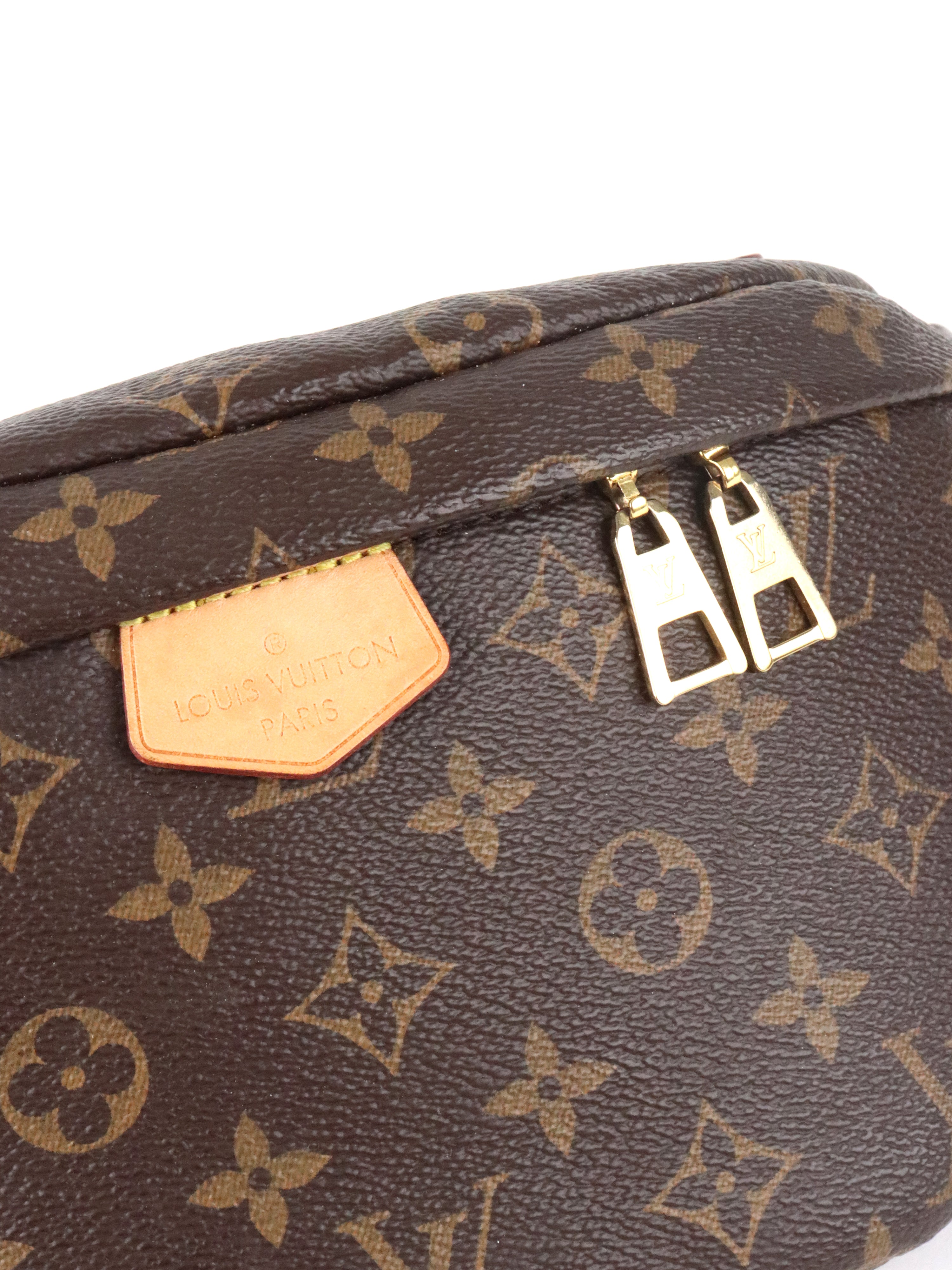 Louis Vuitton Monogram Bumbag