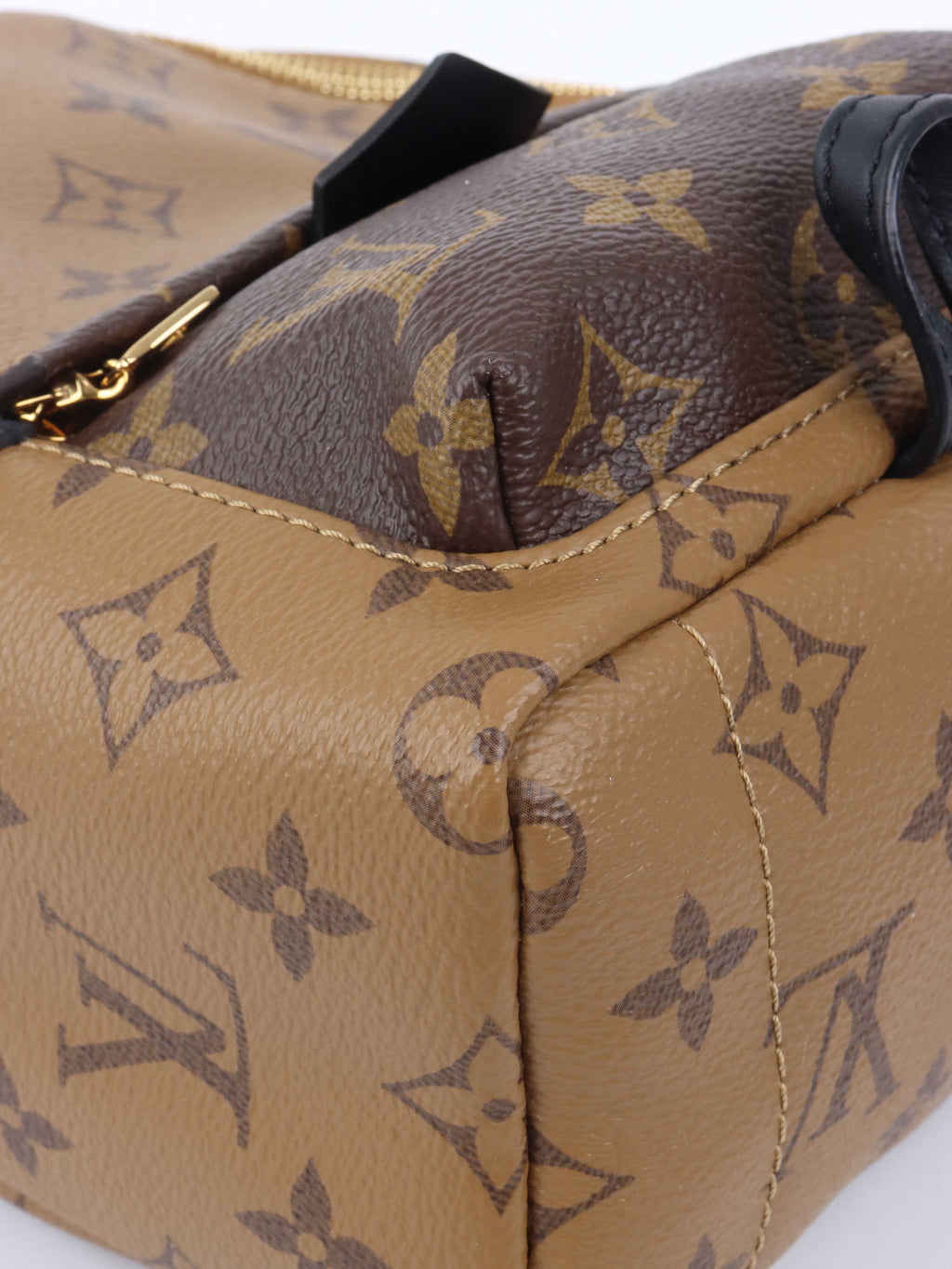 Louis Vuitton Reverse Palm Springs Mini Backpack.