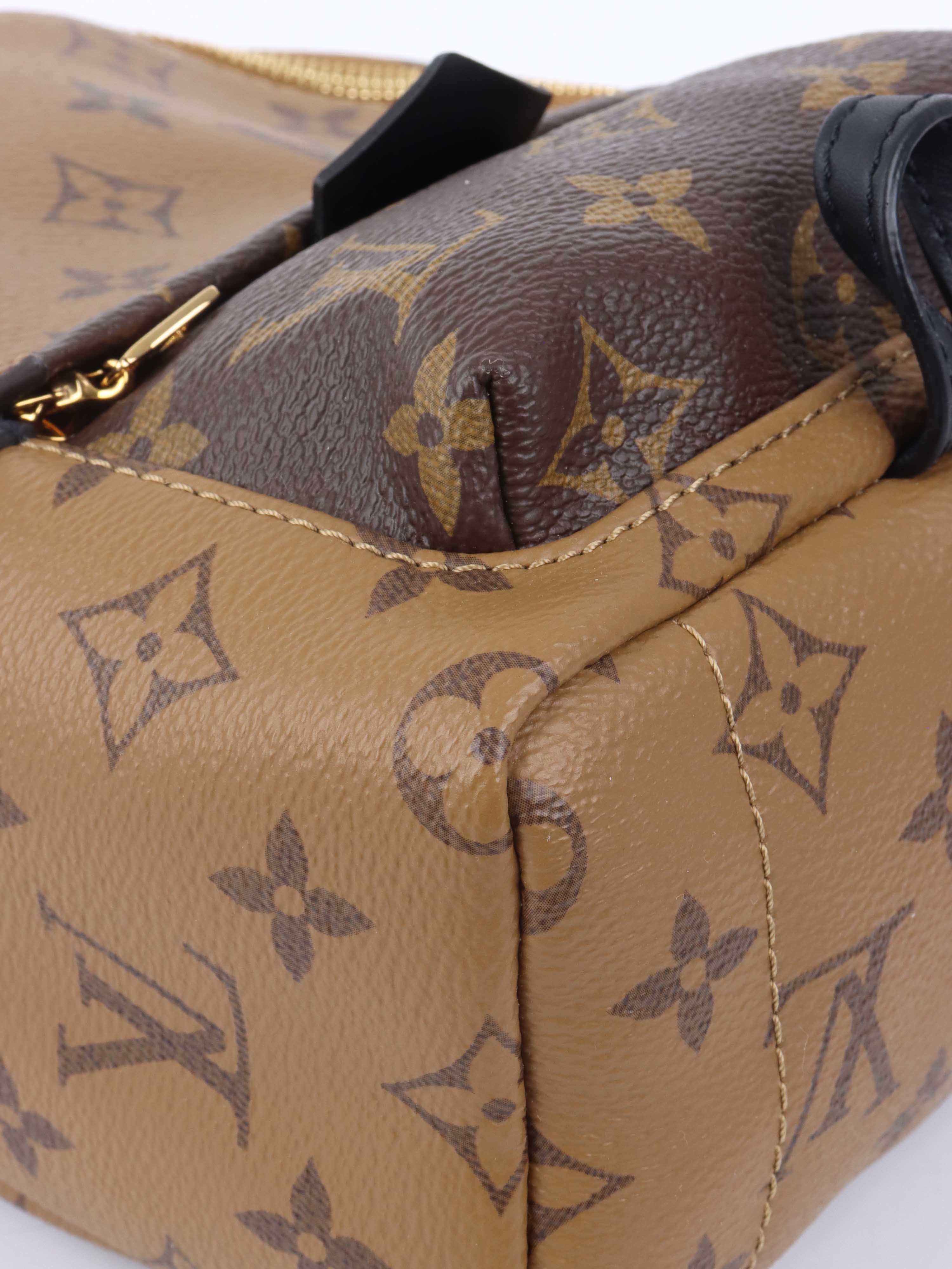 Louis Vuitton Reverse Palm Springs Mini Backpack.