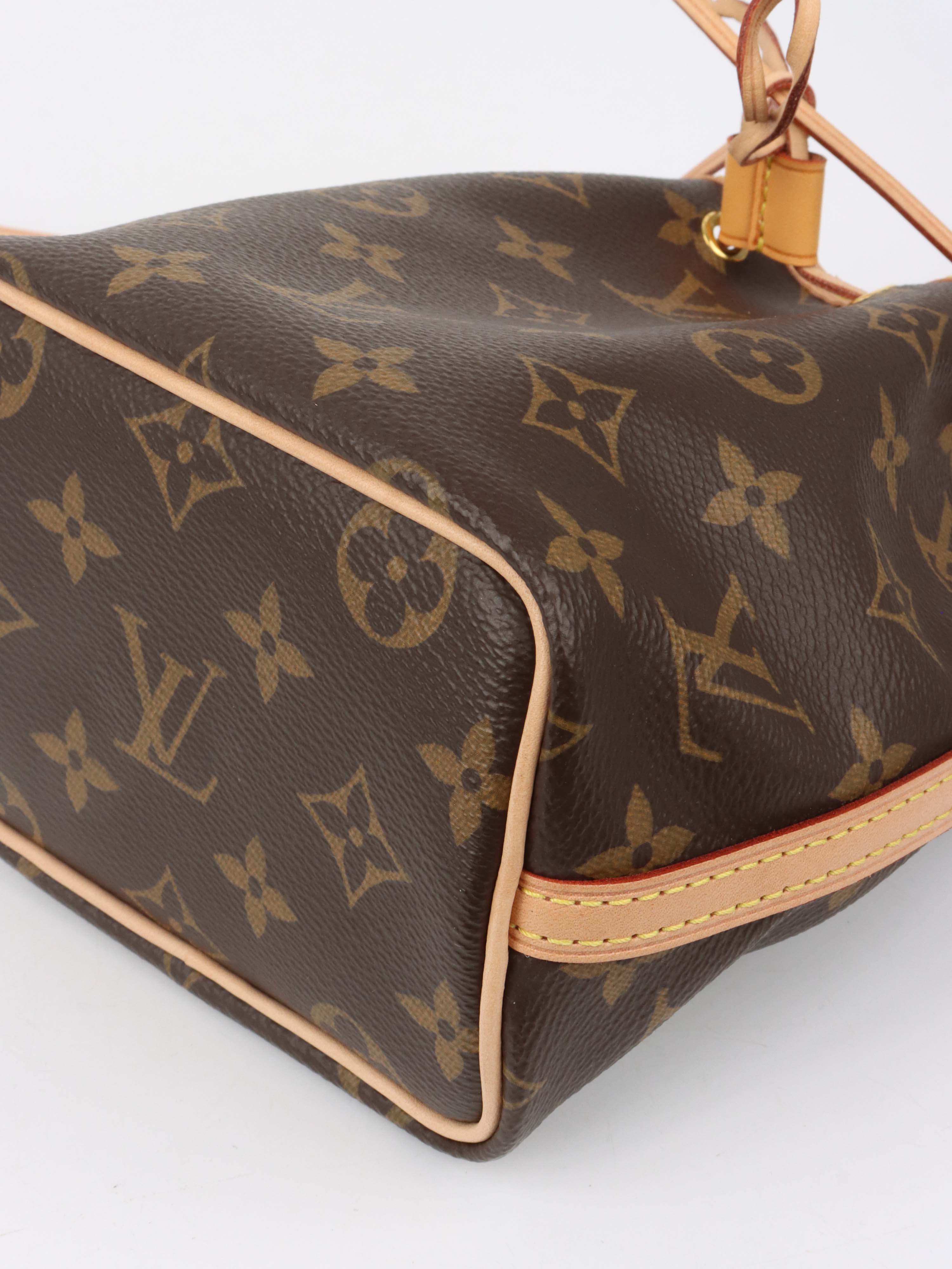 Louis Vuitton Monogram Nano Noe Bag.