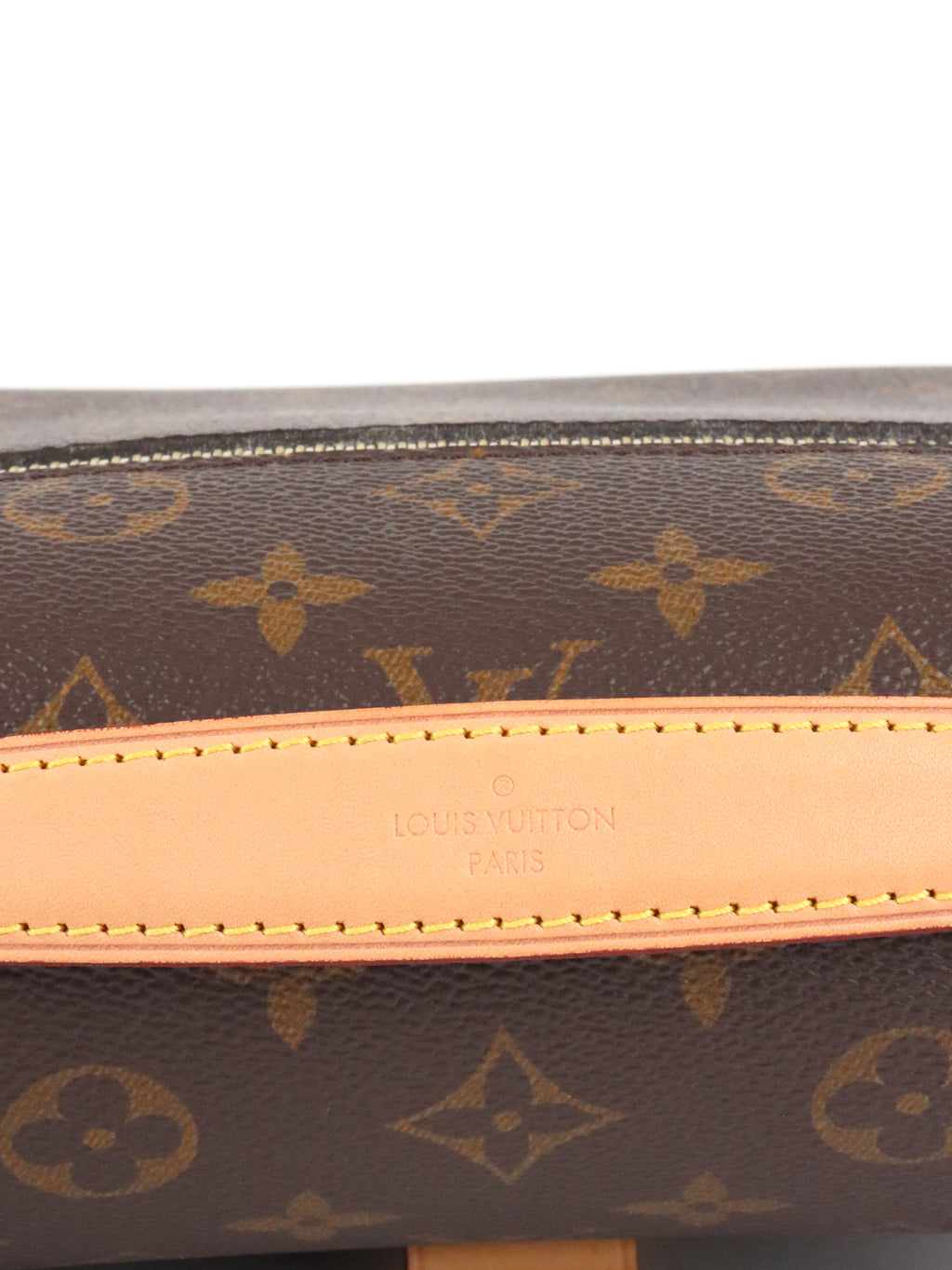 Louis Vuitton Metis Pochette Monogram