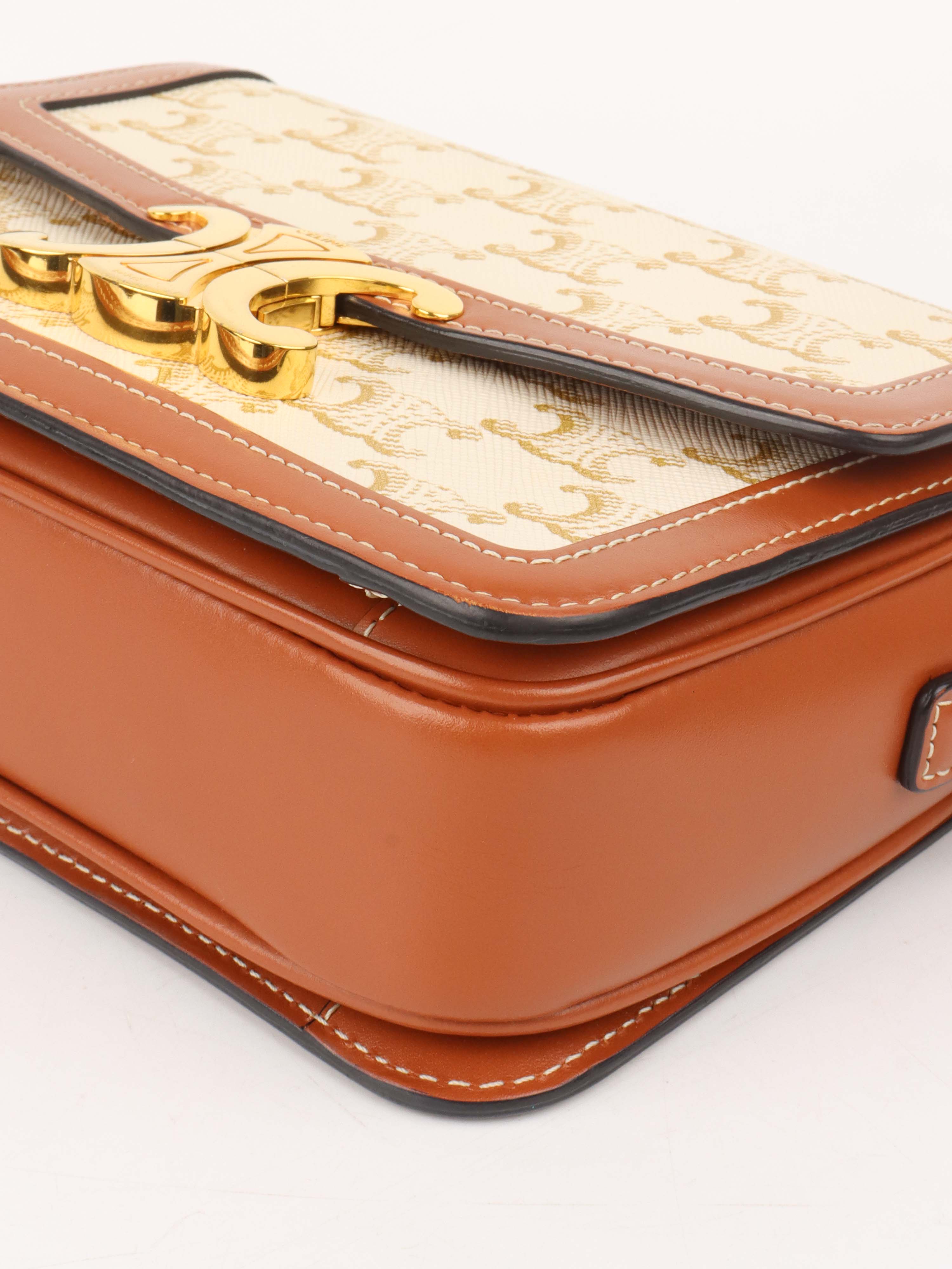 Celine Teen Triomphe Bag in Canvas.