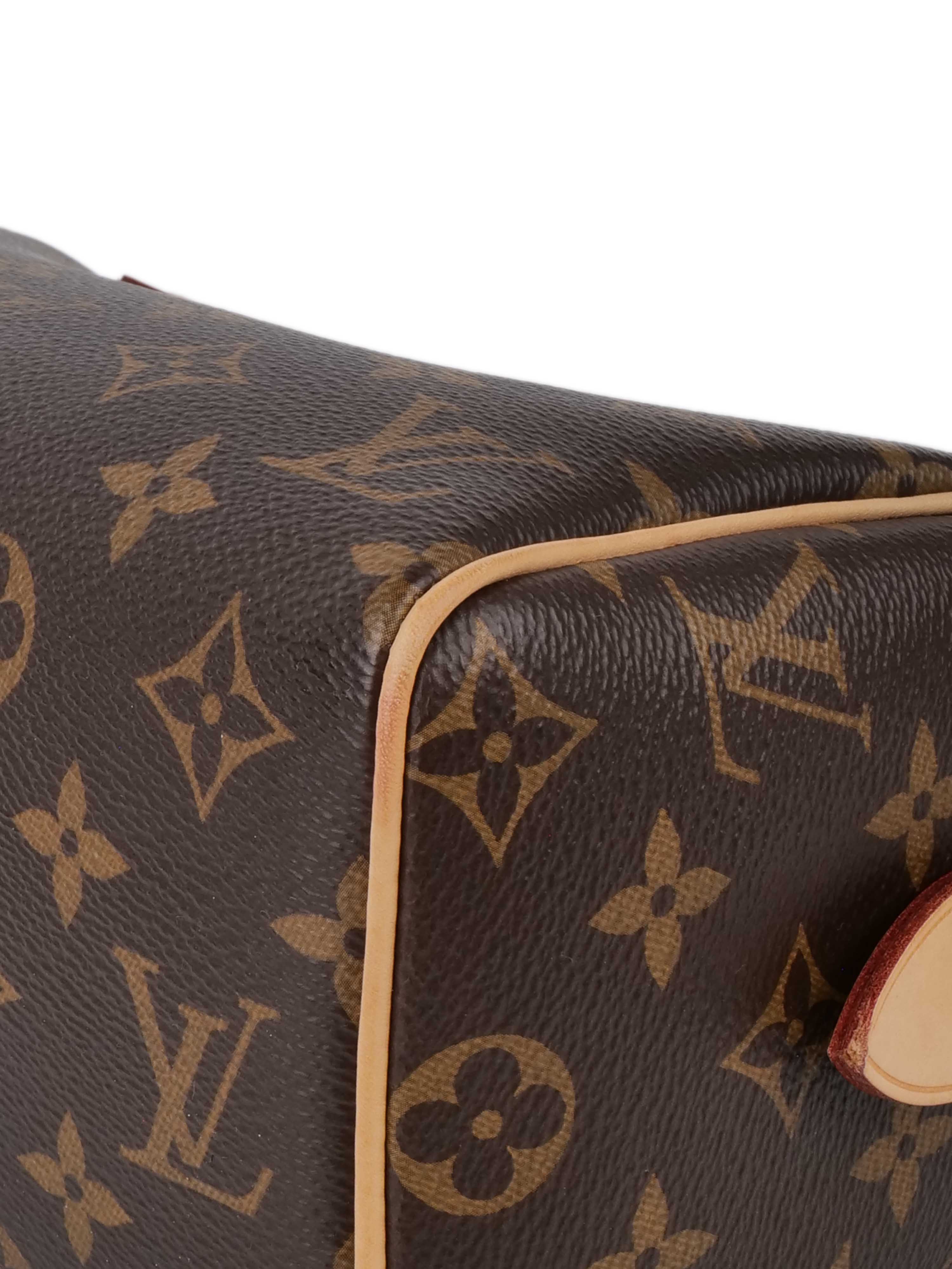 Louis Vuitton Monogram Speedy 20 Bag.