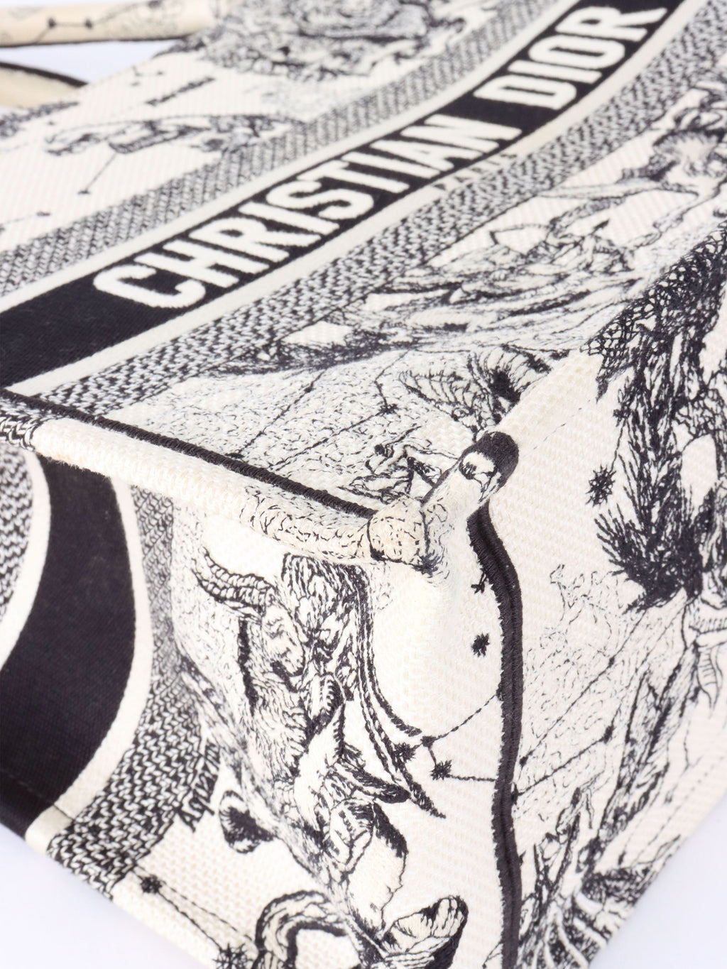 Dior Latte and Black Zodiac Medium Book Tote.