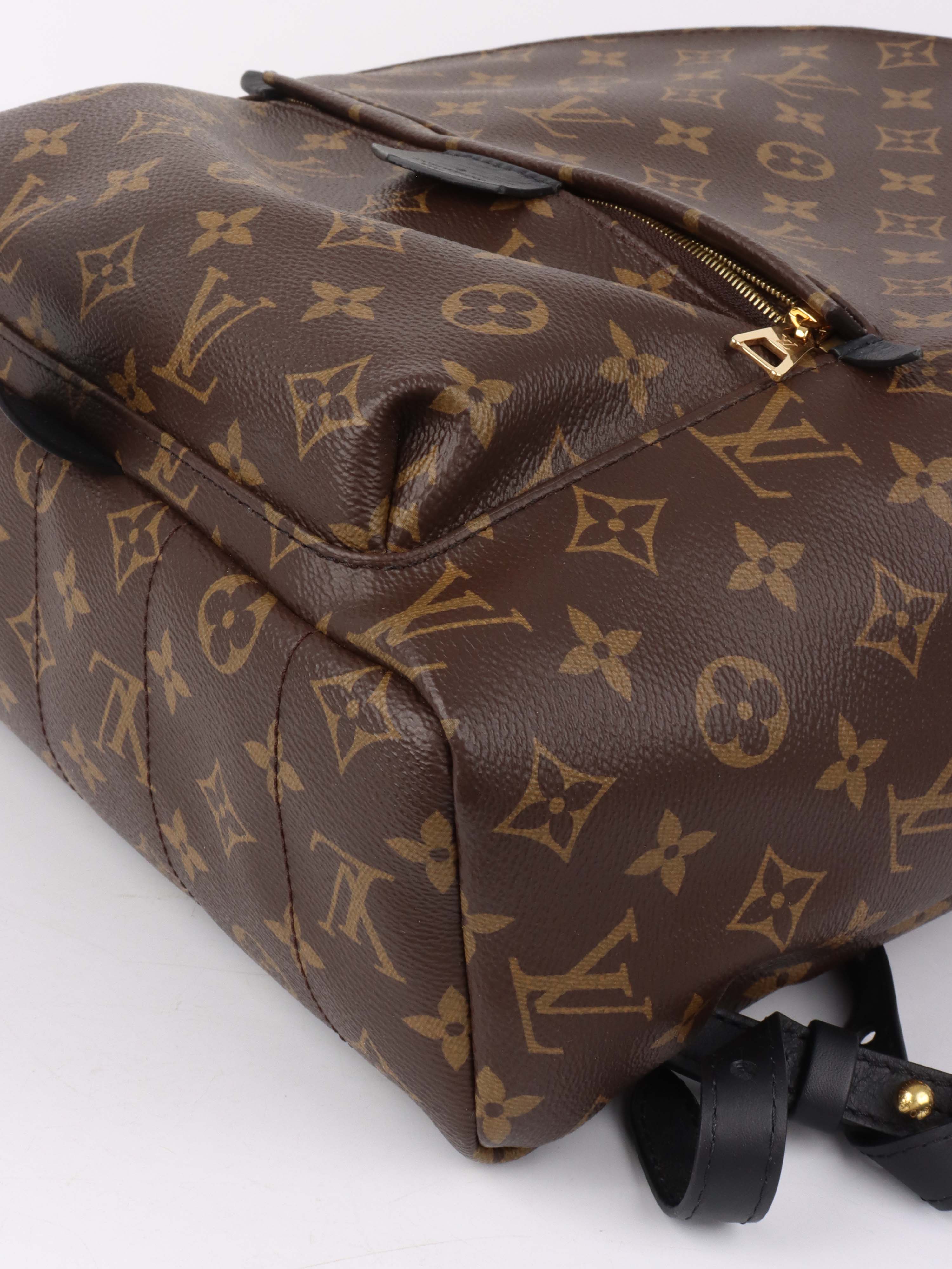 Louis Vuitton Palm Spring MM Backpack.
