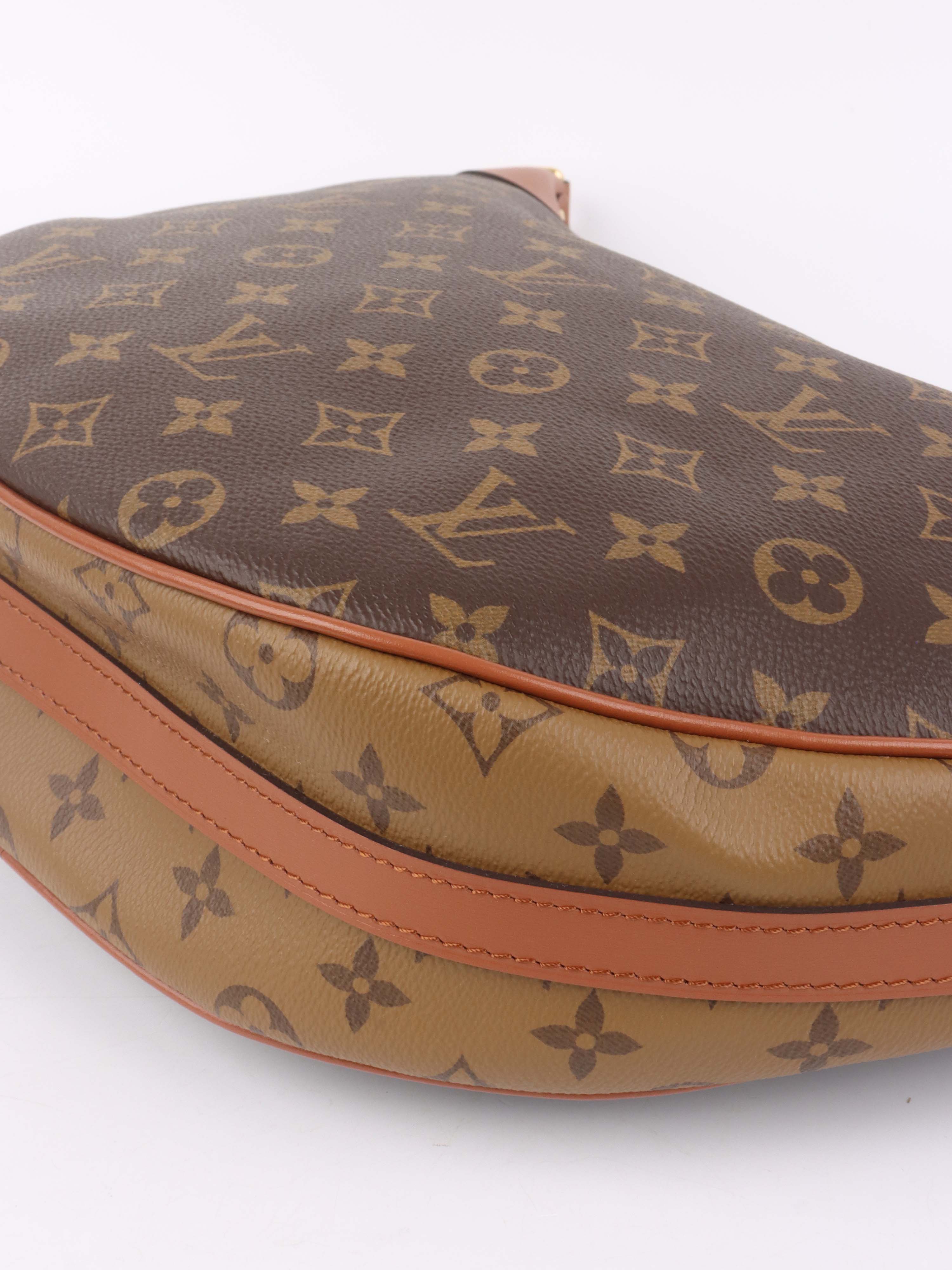 Louis Vuitton Monogram Loop Hobo Bag.