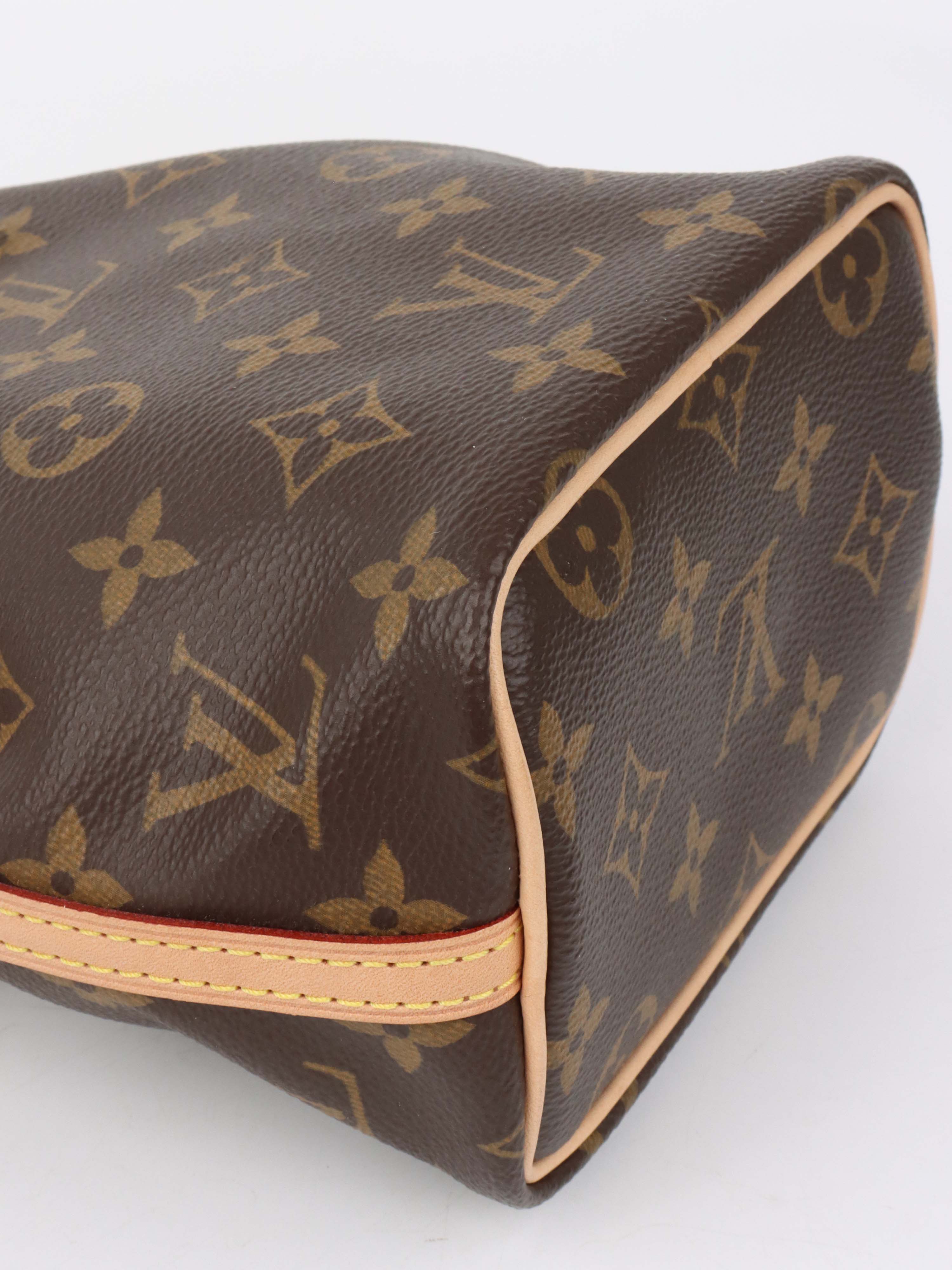 Louis Vuitton Monogram Nano Noe Bag.
