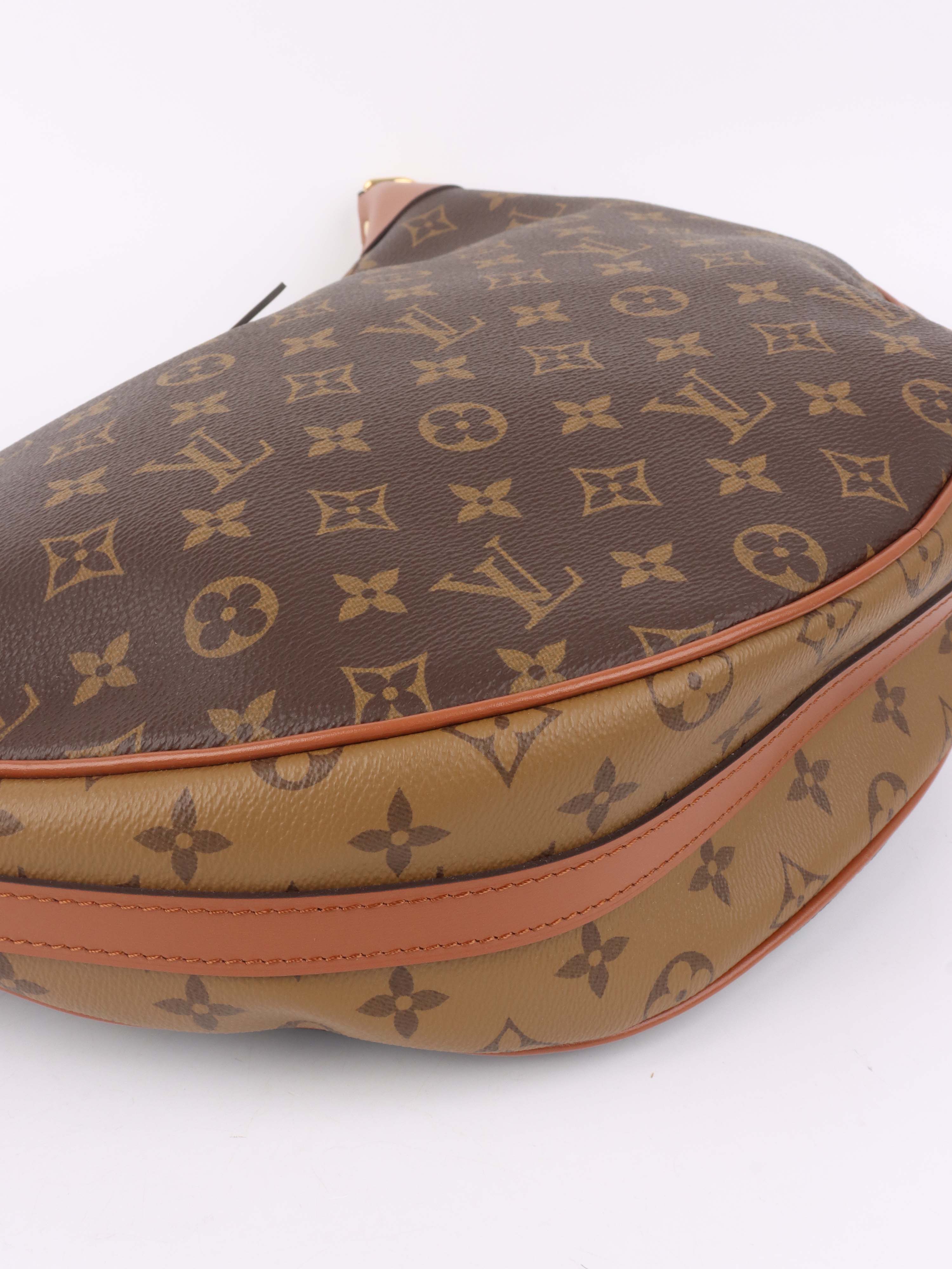 Louis Vuitton Monogram Loop Hobo Bag.
