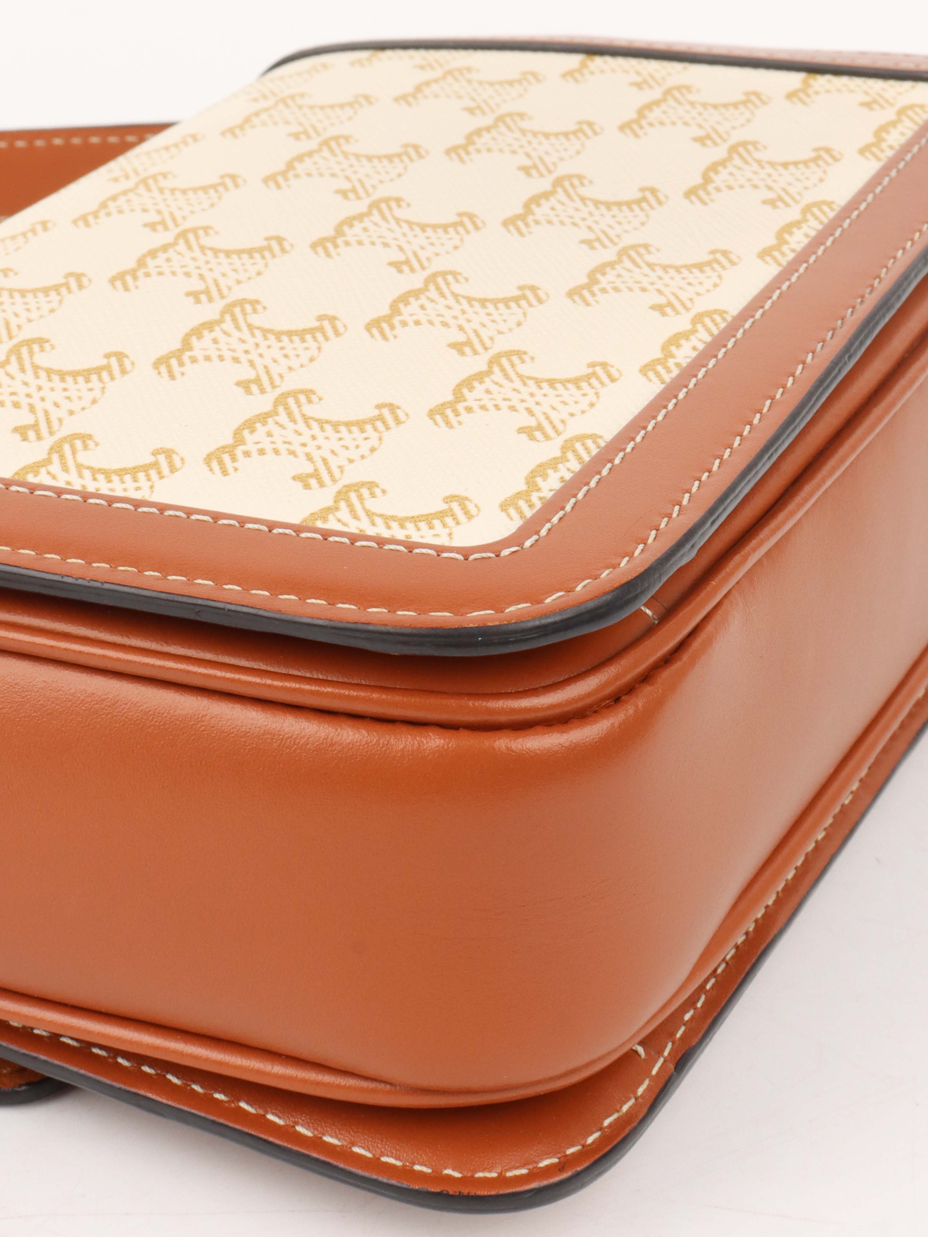 Celine Teen Triomphe Bag in Canvas.