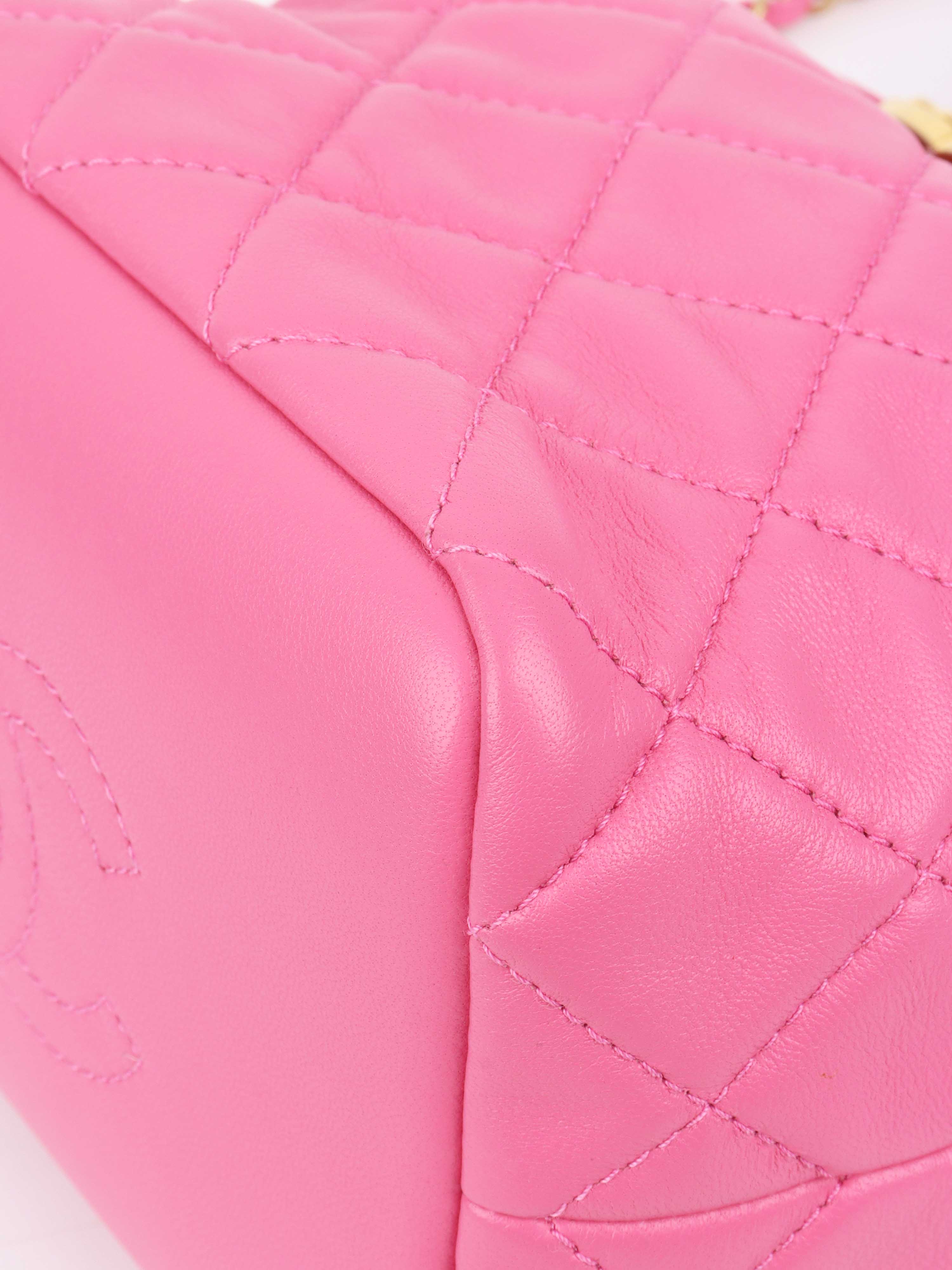 Chanel 20S Small Quilted Hobo bag Lambskin Pink GHW.