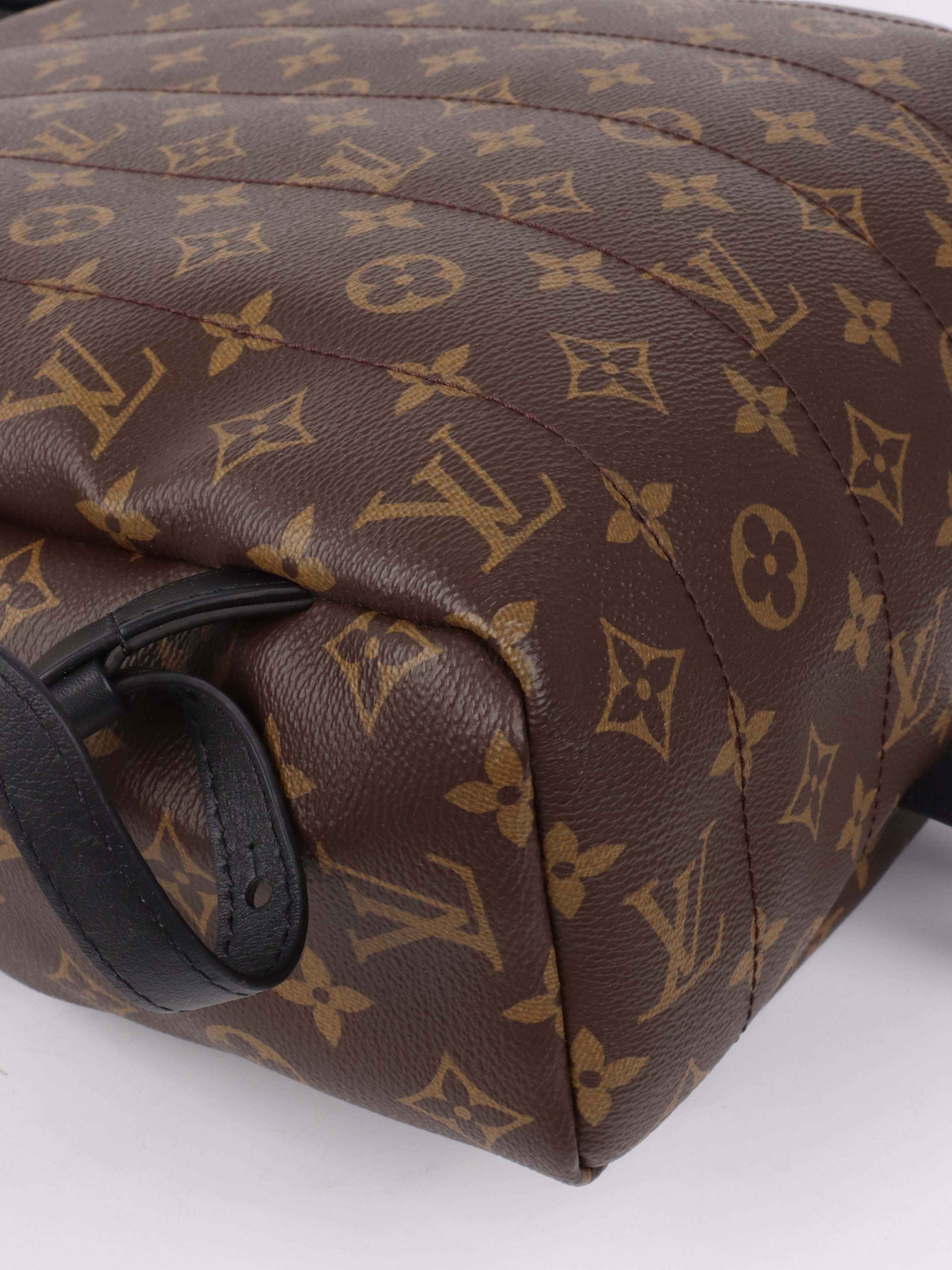 Louis Vuitton Palm Spring MM Backpack.